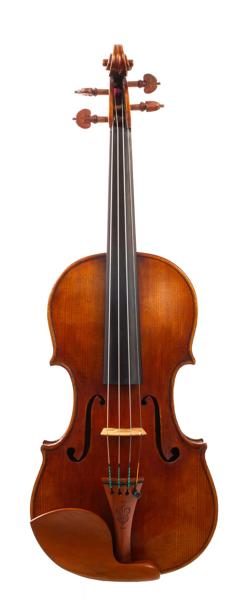 Douglas-Cox-Violin-2015-15