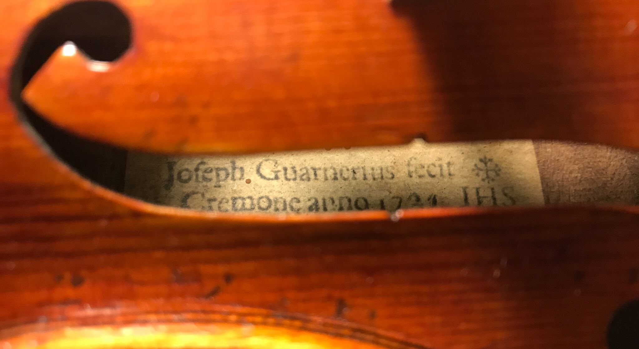 Douglas-Cox-Violin-2015