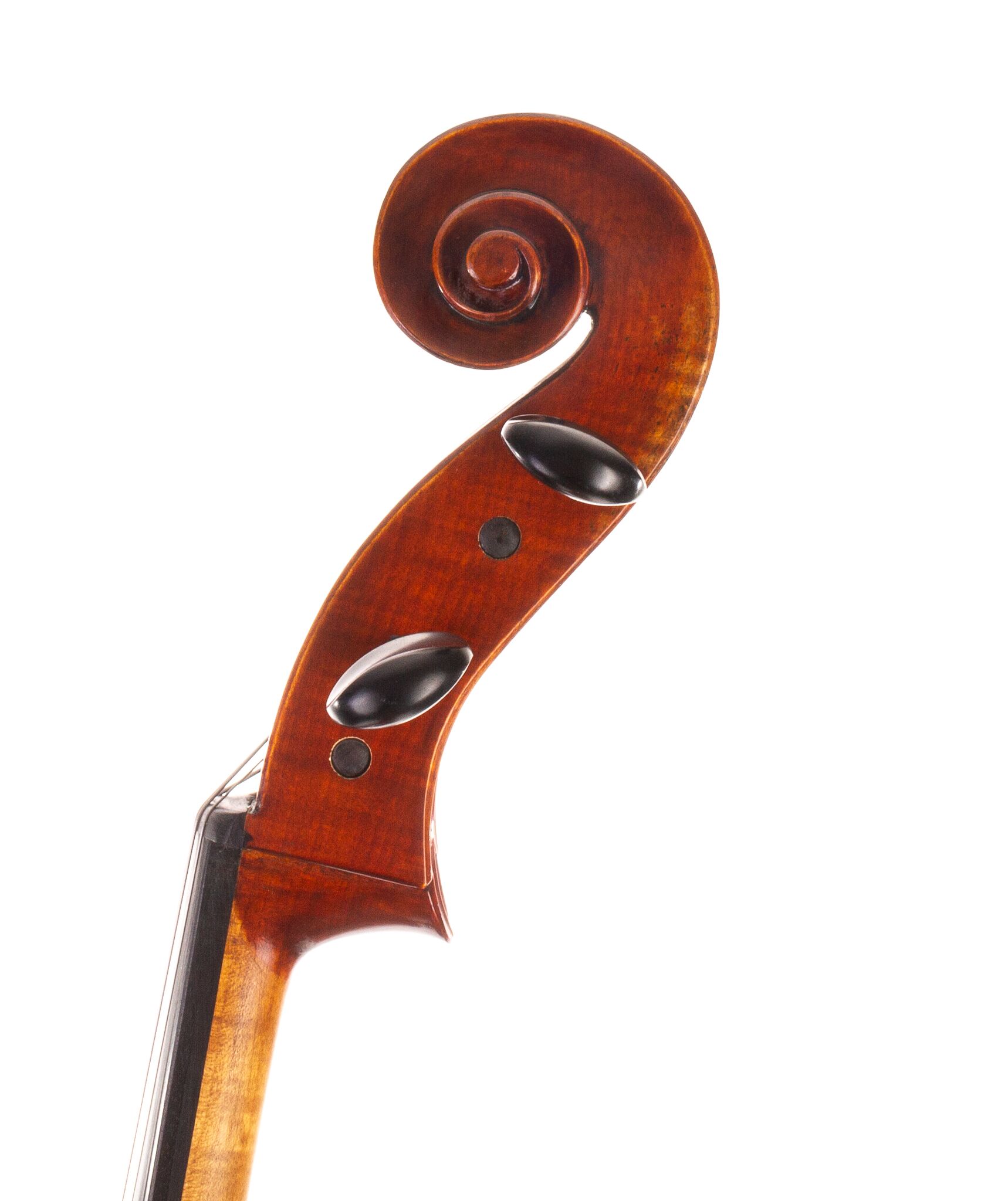 Ivan-Dunov-Eastman-402-Cello-01