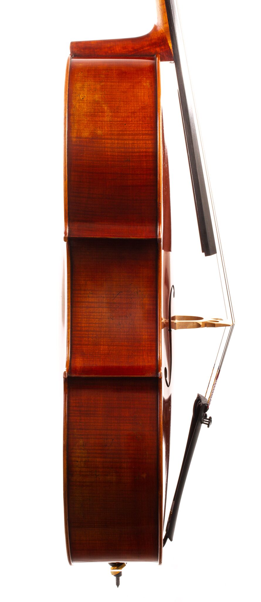 Ivan-Dunov-Eastman-402-Cello-11