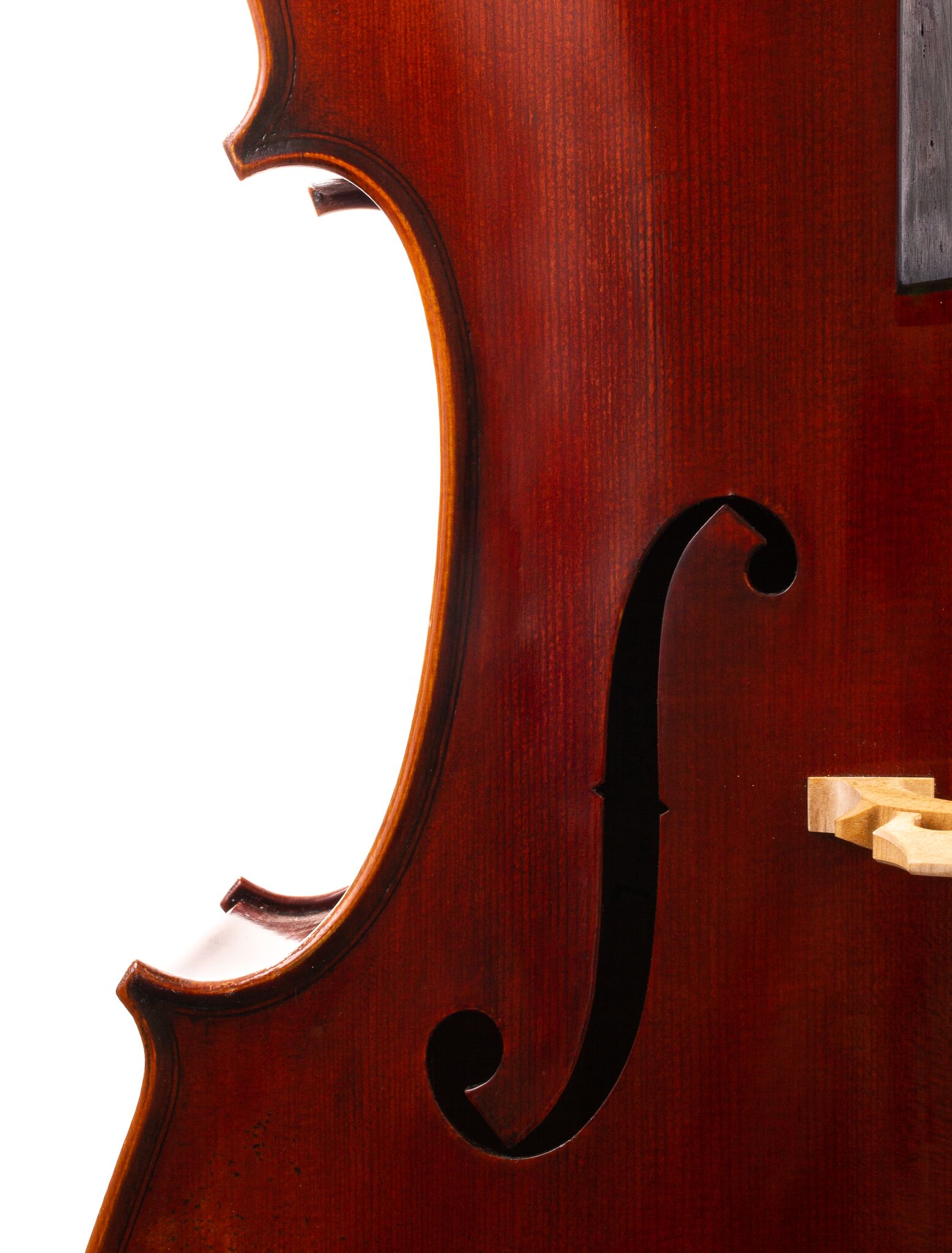 Ivan-Dunov-Eastman-402-Cello-13
