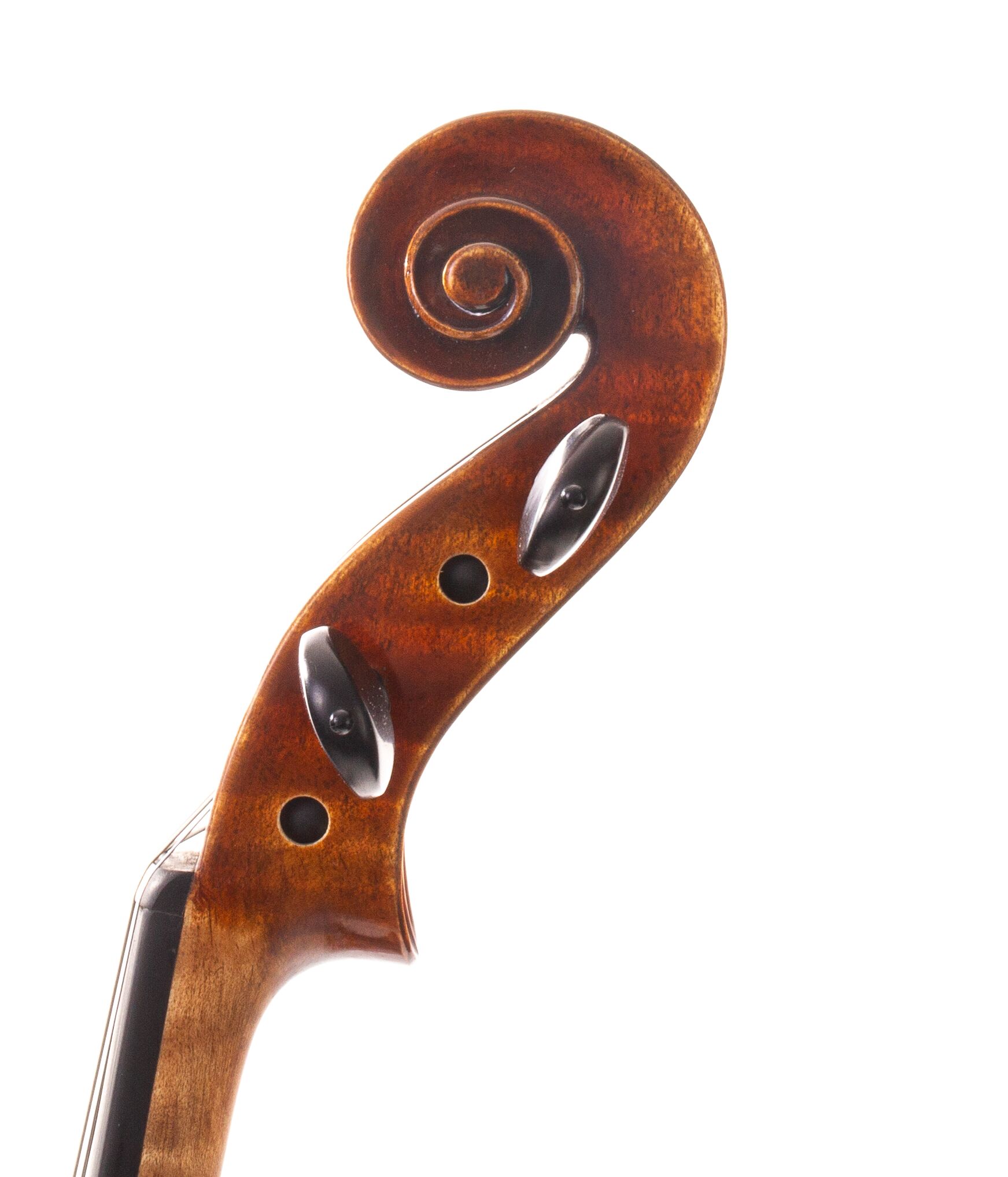 Dolce-Genovese-Viola-01