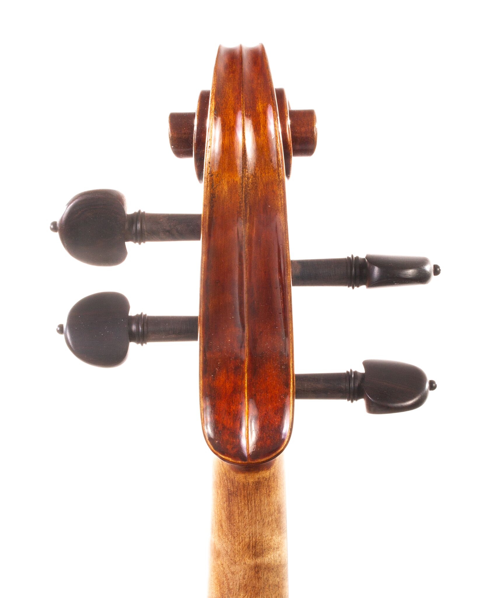 Dolce-Genovese-Viola-02