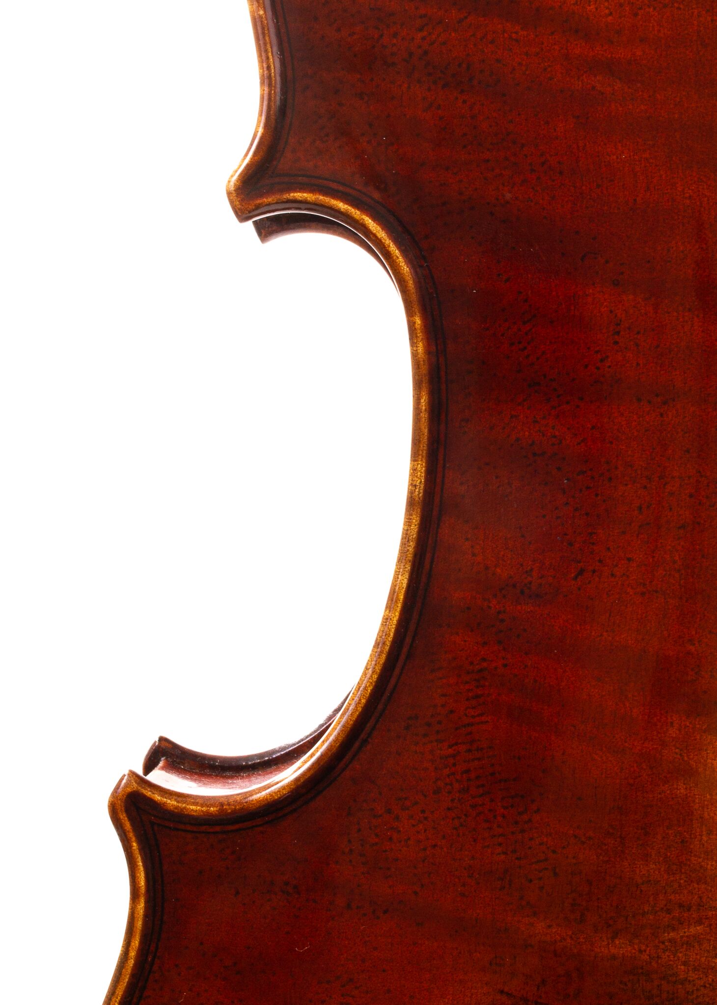 Dolce-Genovese-Viola-03