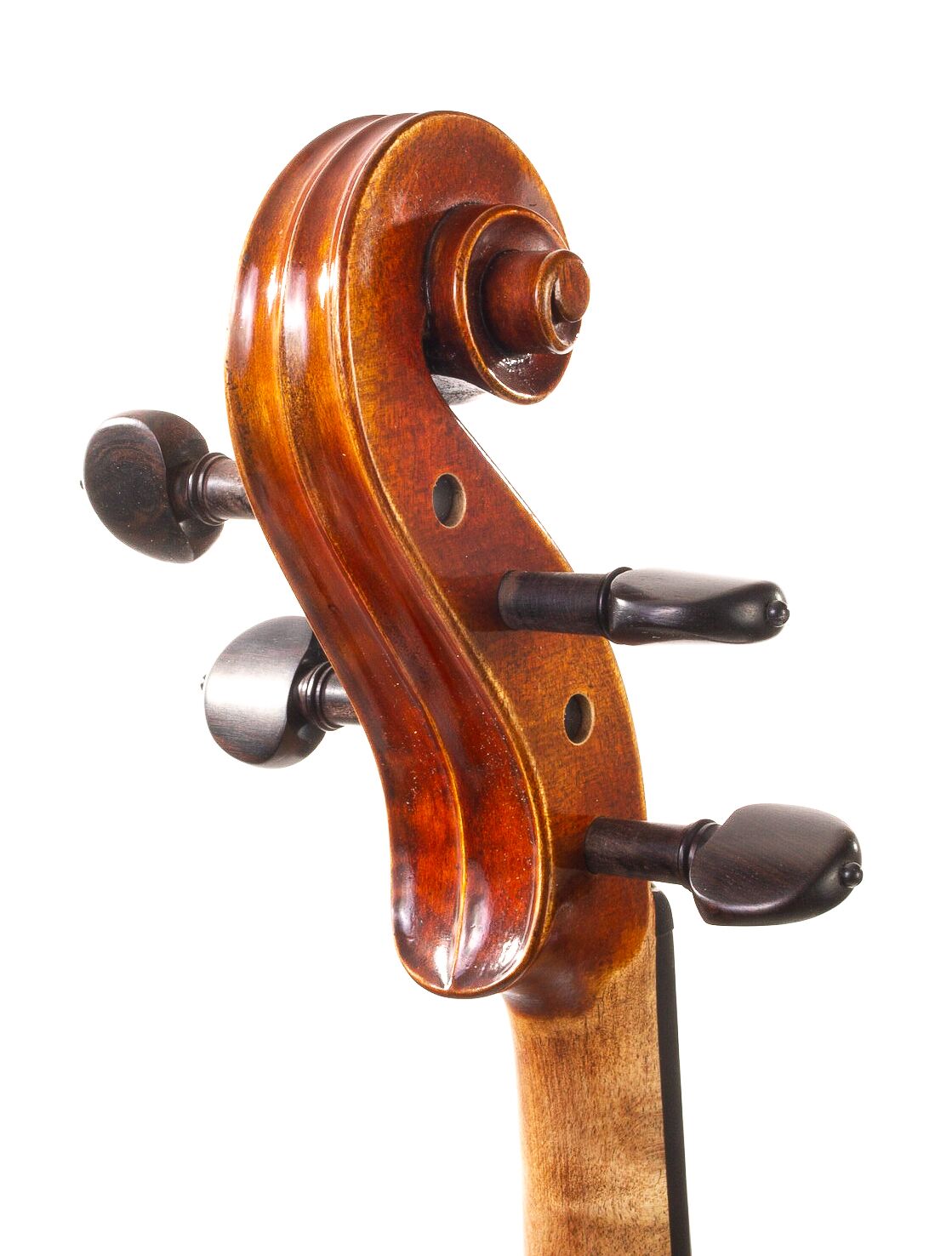 Dolce-Genovese-Viola-06