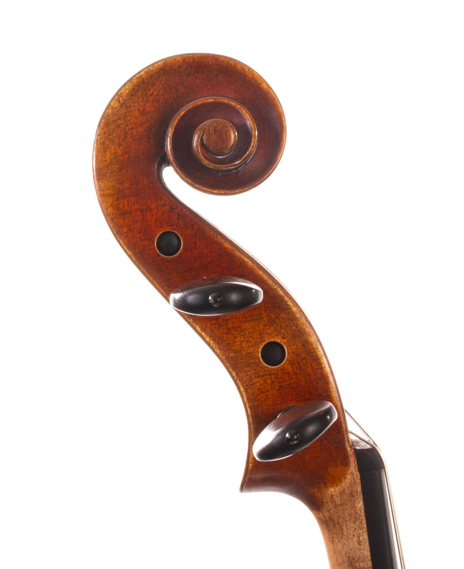 Dolce-Genovese-Viola-08