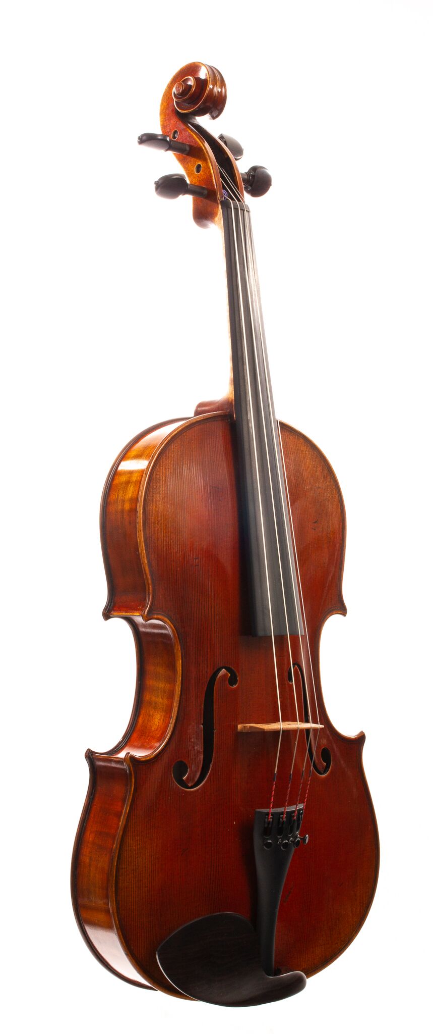 Dolce-Genovese-Viola-11