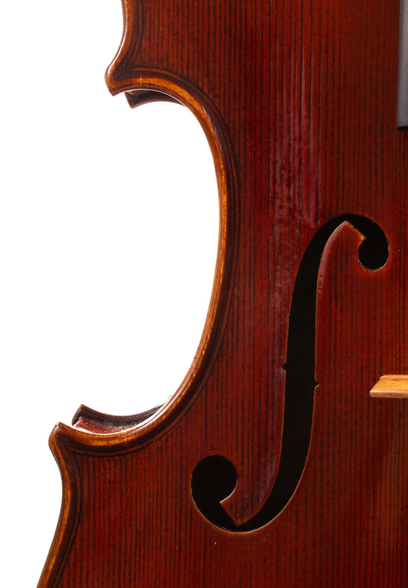 Dolce-Genovese-Viola-13