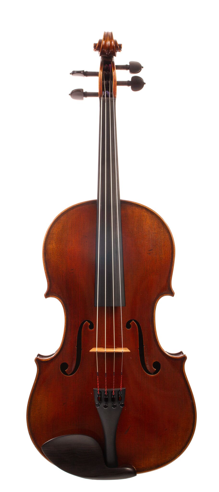 Dolce-Genovese-Viola-15