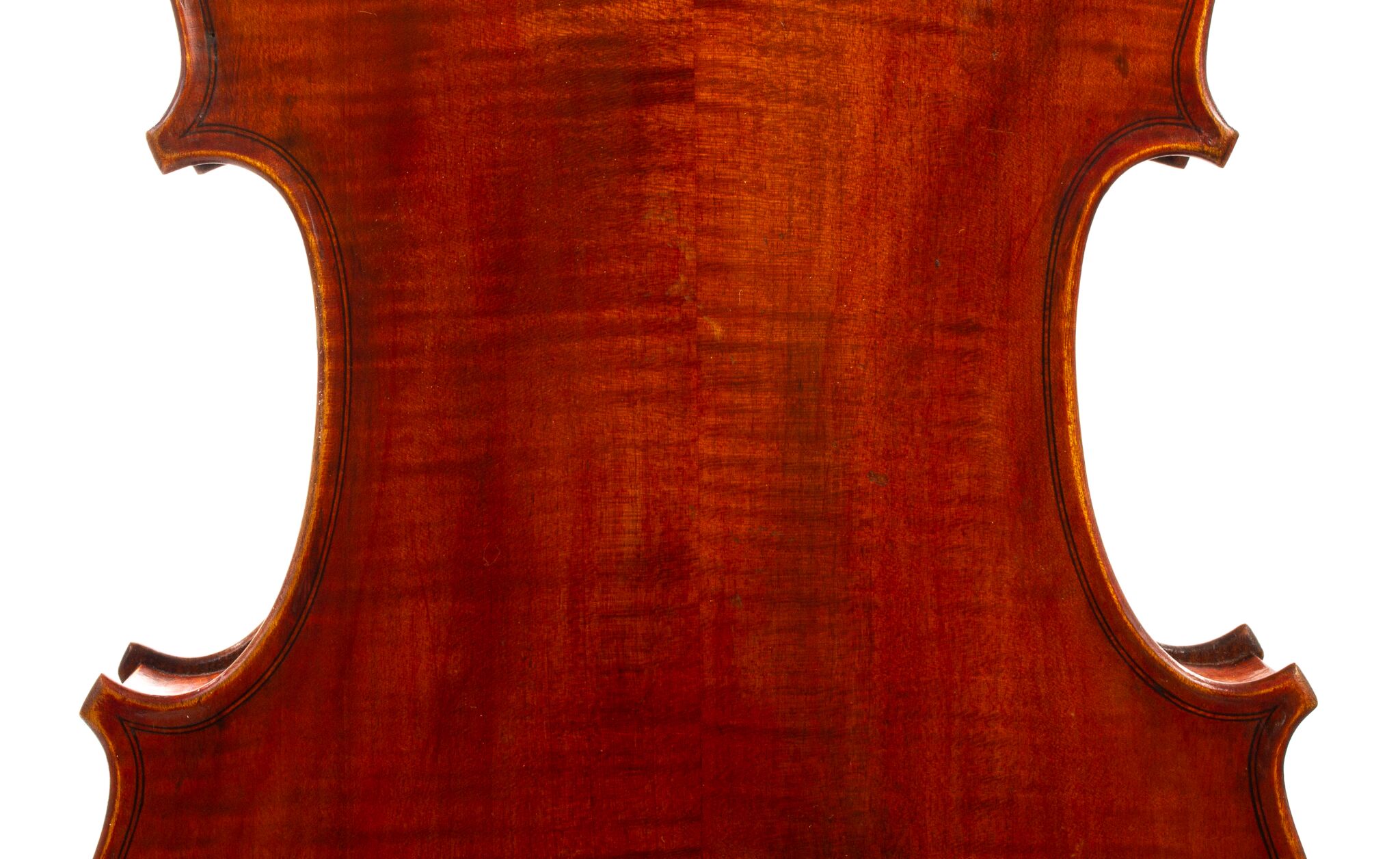 Viola-labeled-Nicolas-Bertholini-04