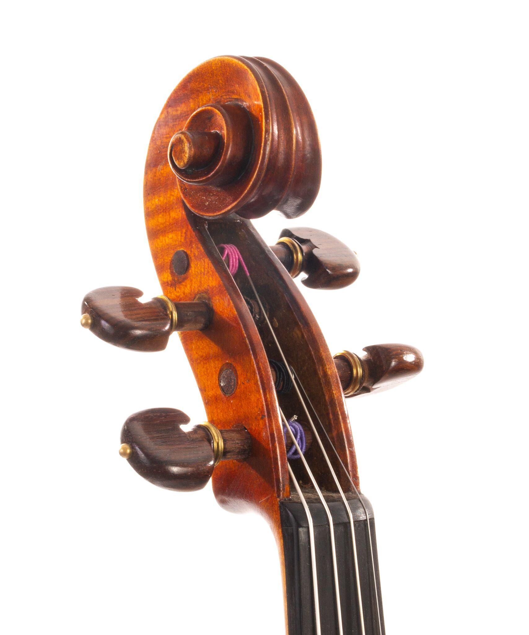 Viola-labeled-Nicolas-Bertholini-10