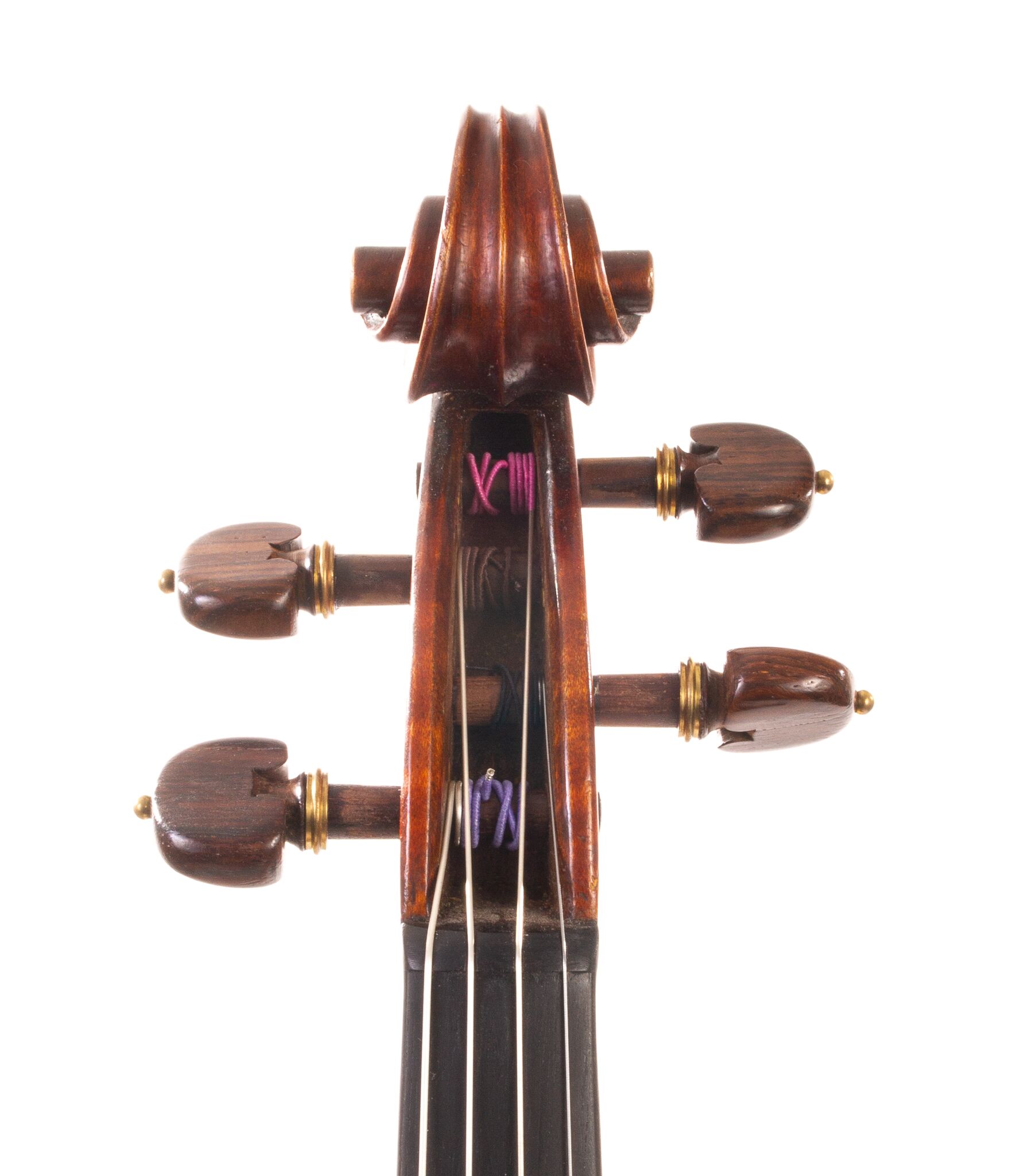 Viola-labeled-Nicolas-Bertholini-12