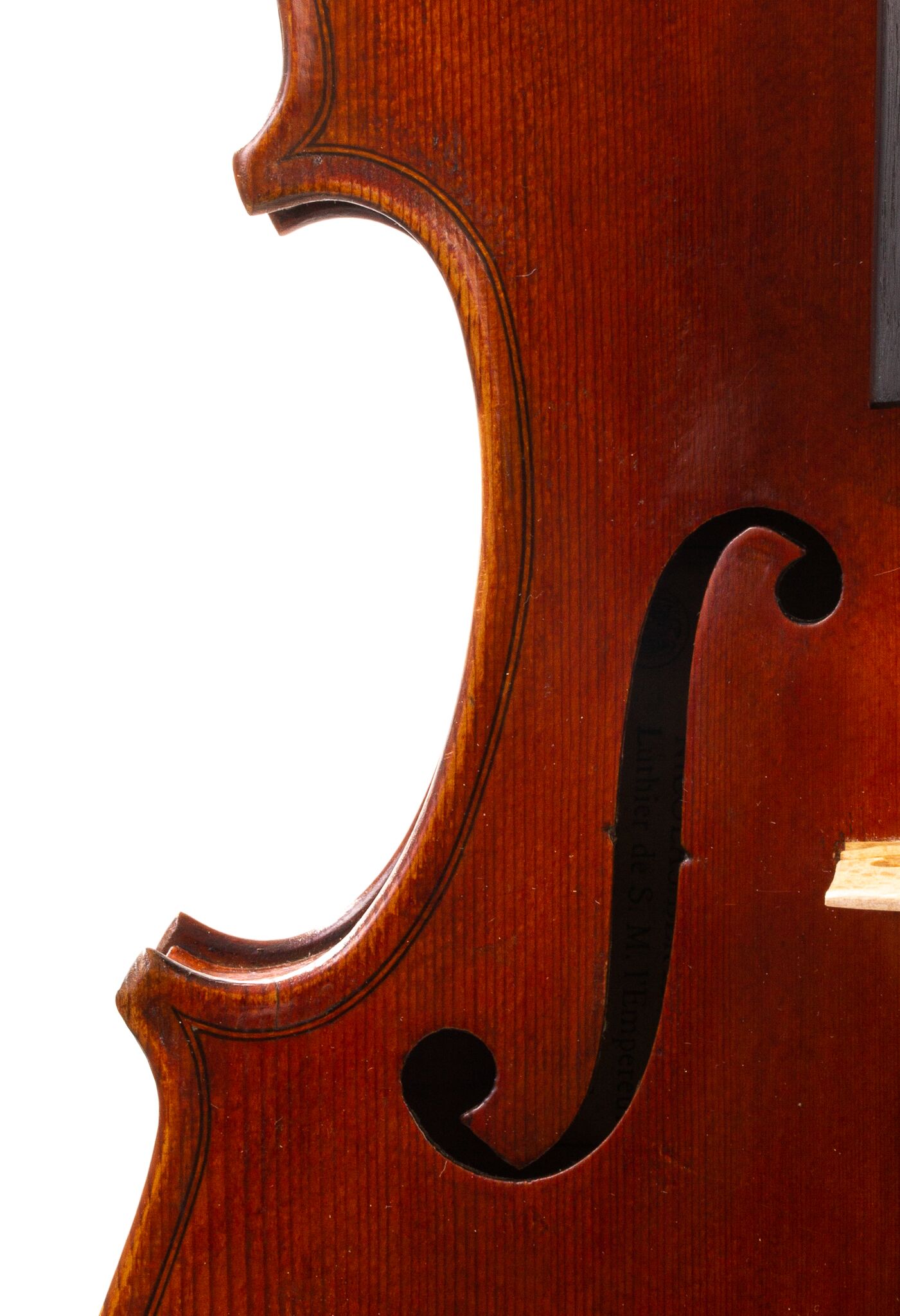 Viola-labeled-Nicolas-Bertholini-13