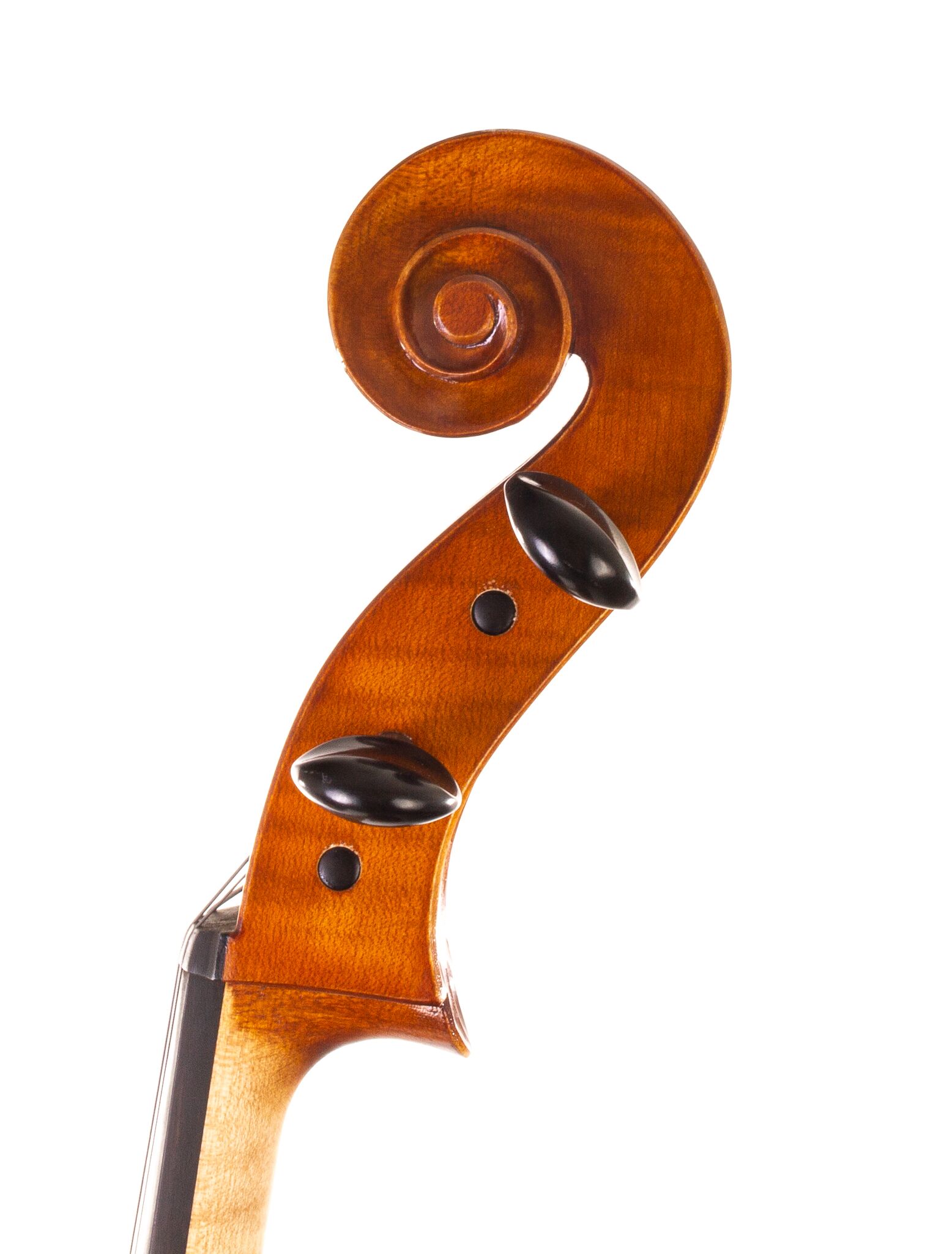 Calin-Wultur-7-8-Cello -01