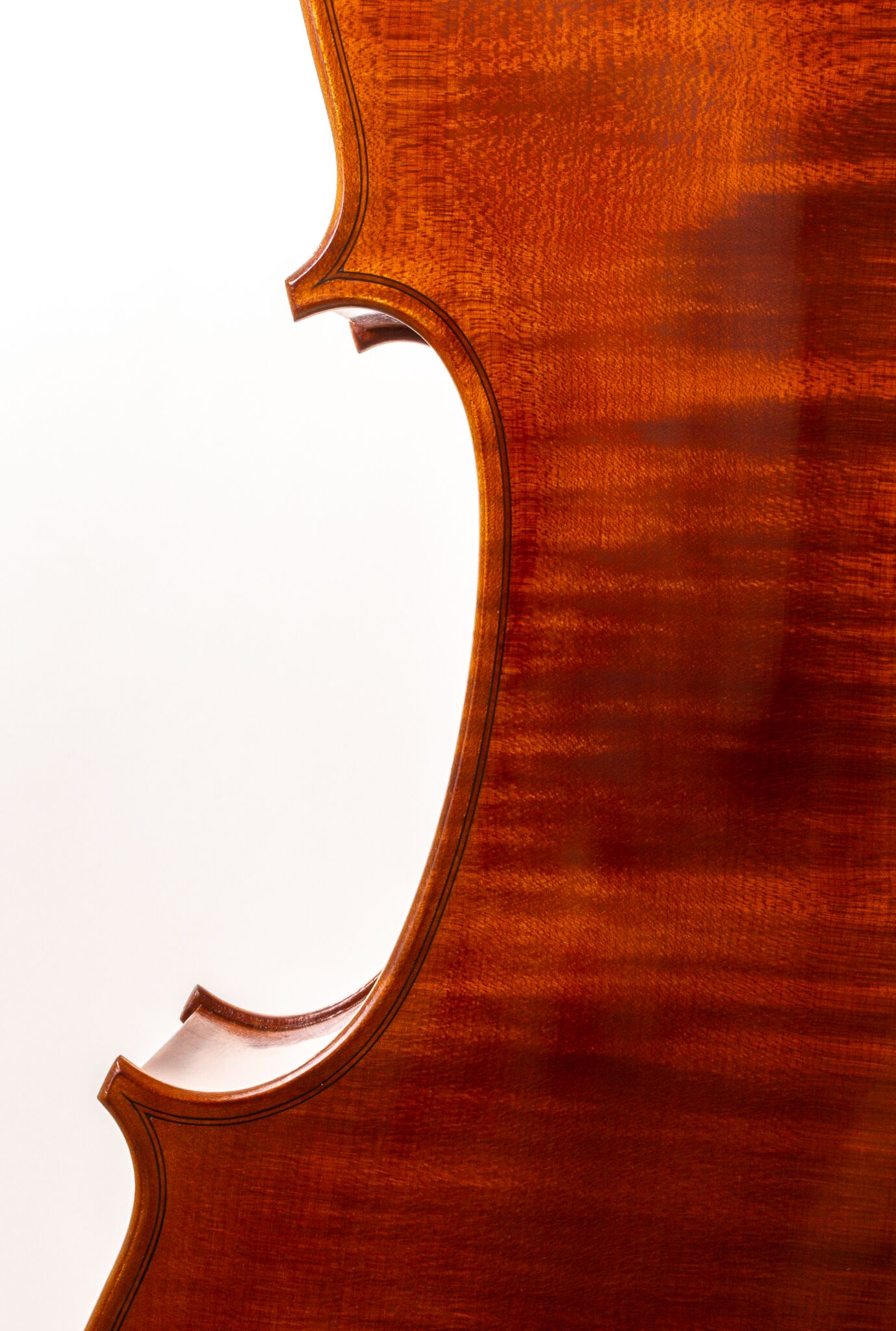 Calin-Wultur-7-8-Cello -07