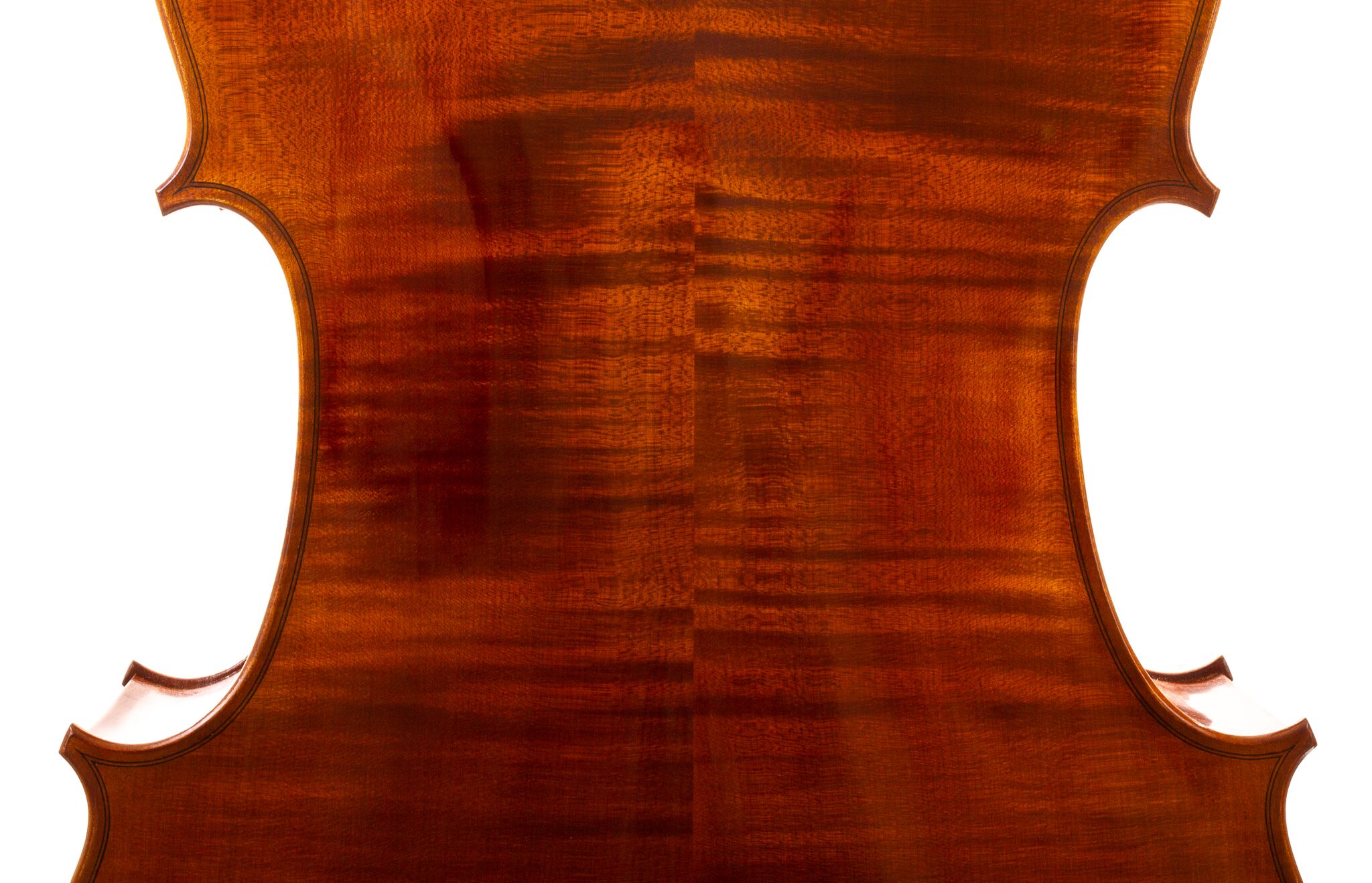 Calin-Wultur-7-8-Cello -08