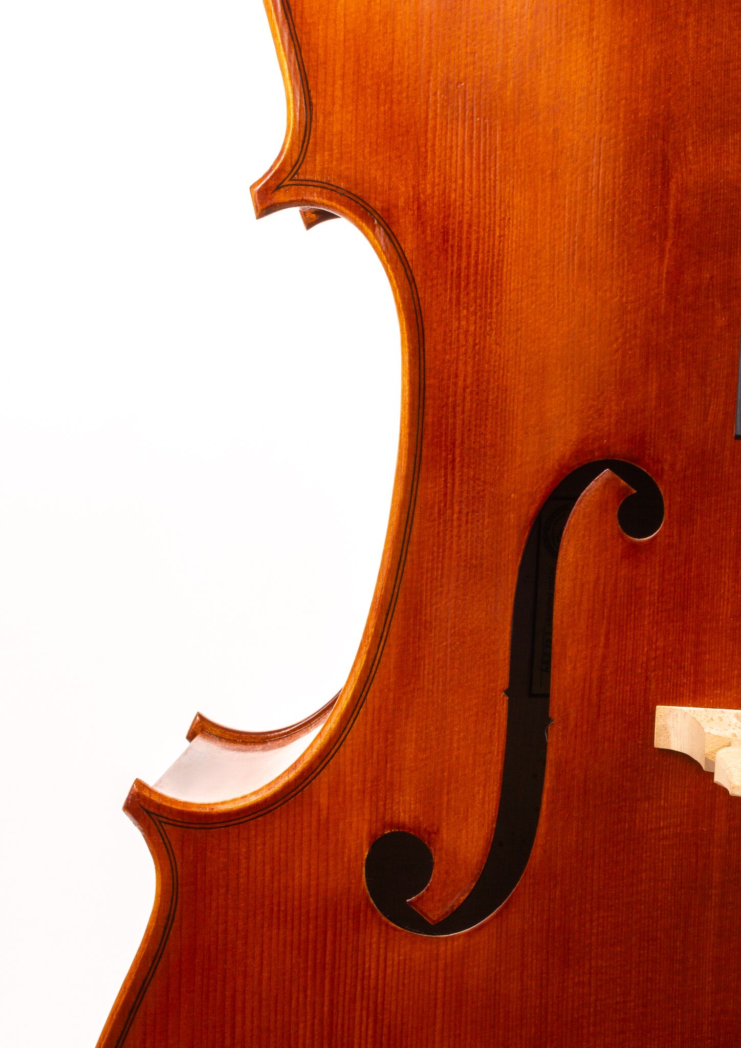 Calin-Wultur-7-8-Cello -13