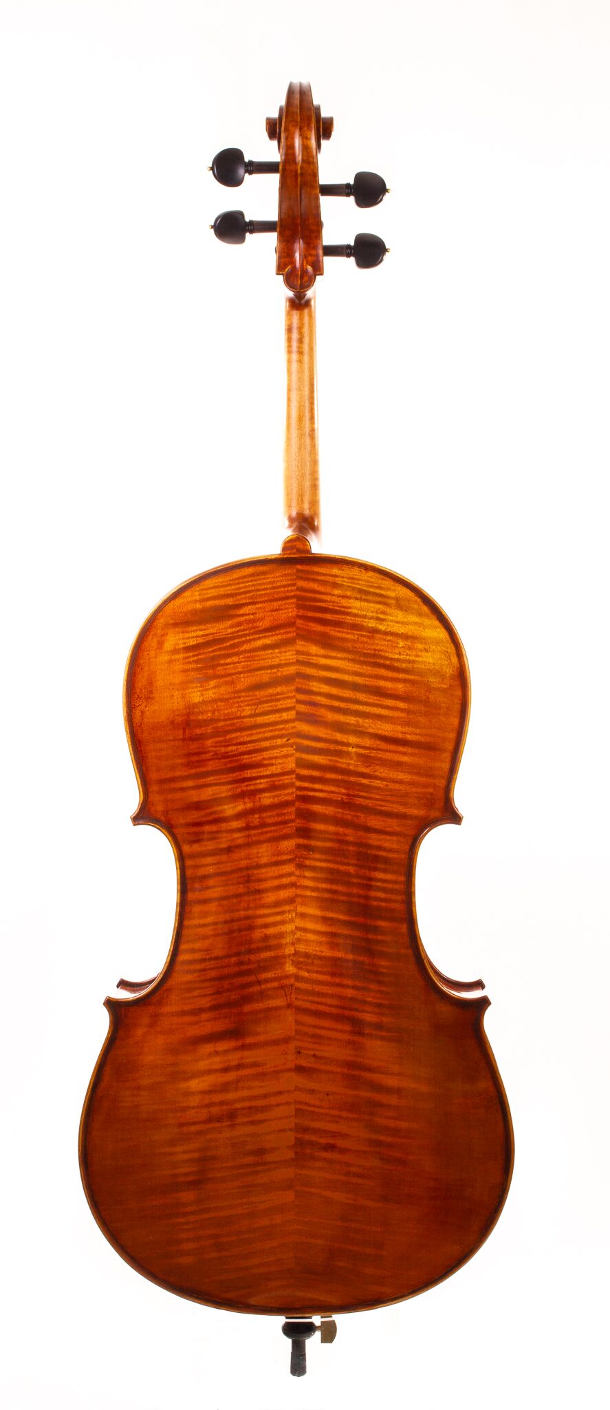 Eastman-830-7-8-Cello-09