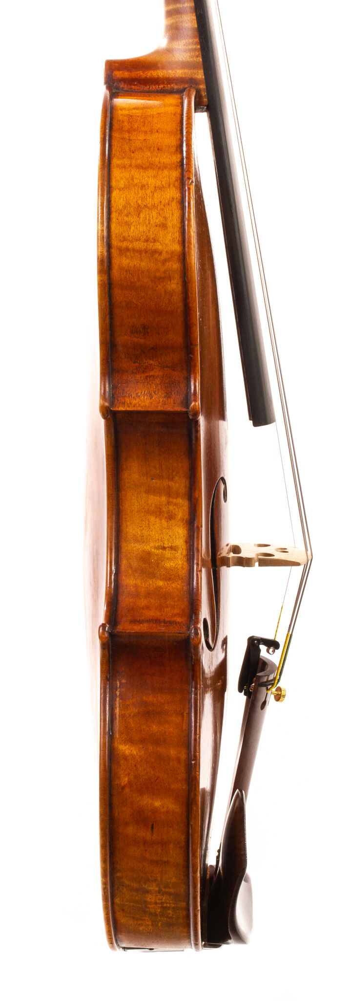 Paolo-Fiorini-Violin-1926-09