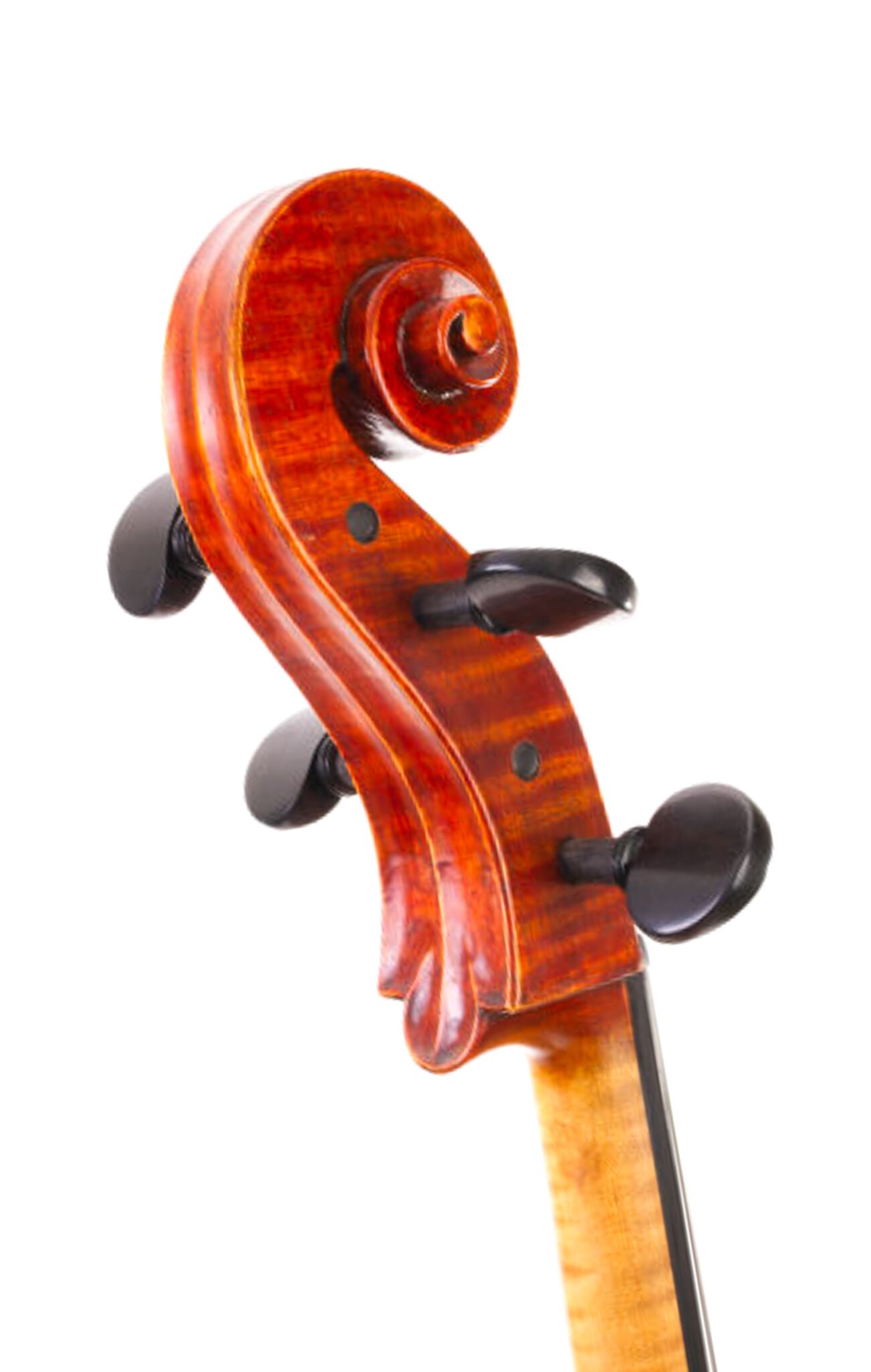 Kurt-Jones-Cello-2024-Forester-1