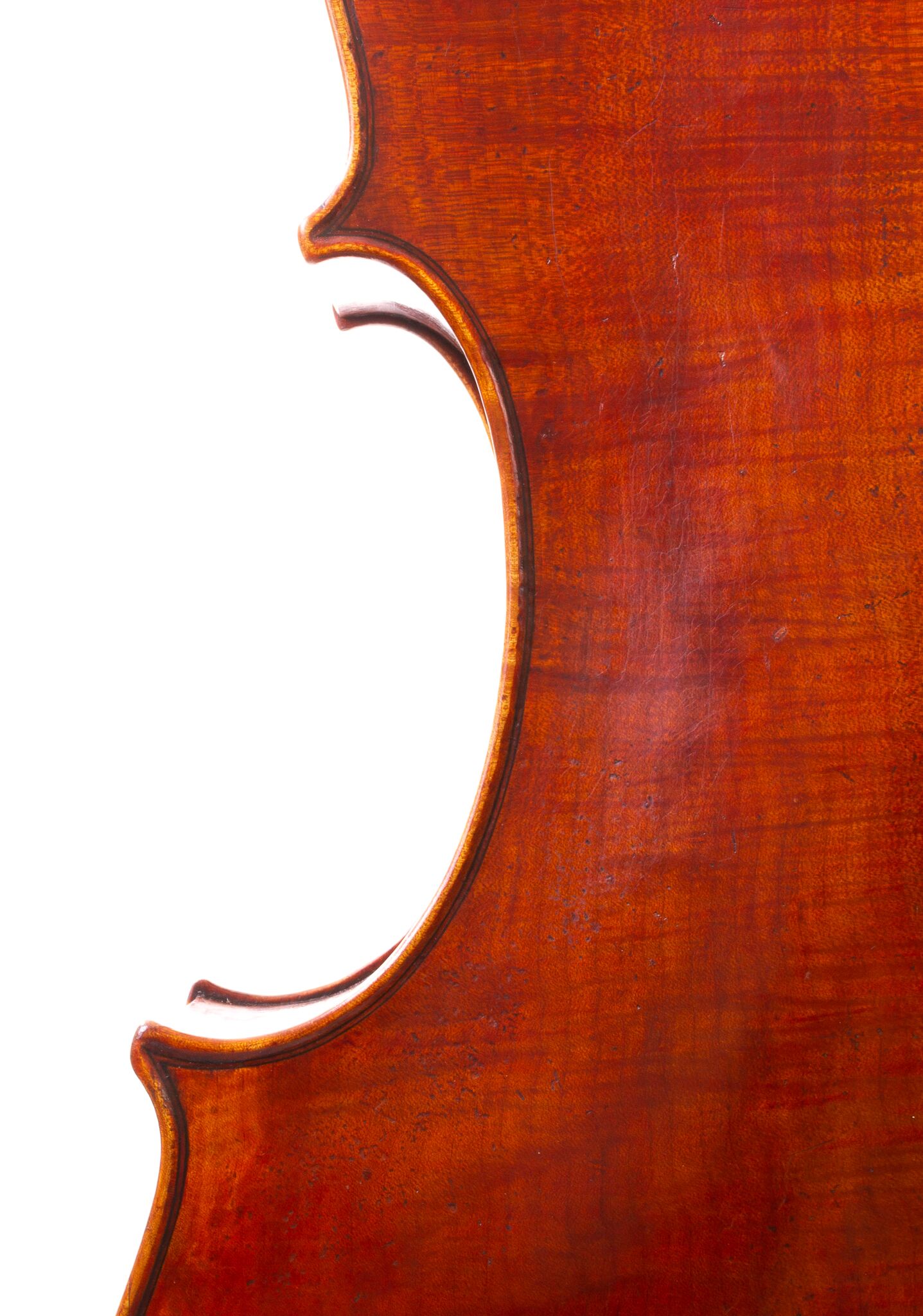 Kurt Jones Cello 2024 Forester Model-07