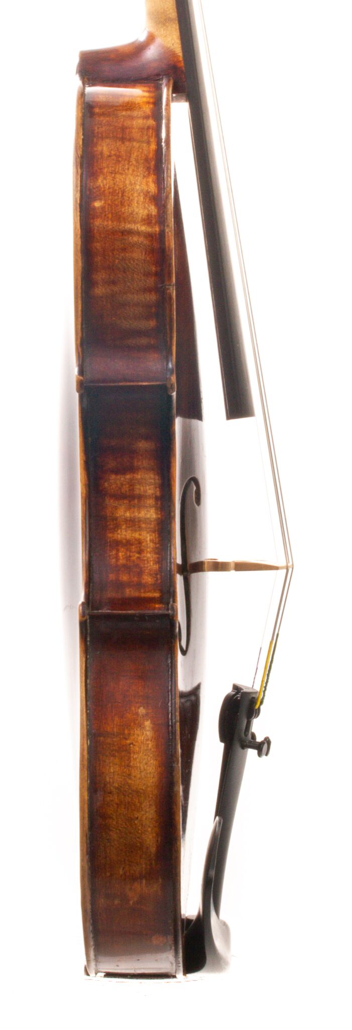 German Violin 10_24-11