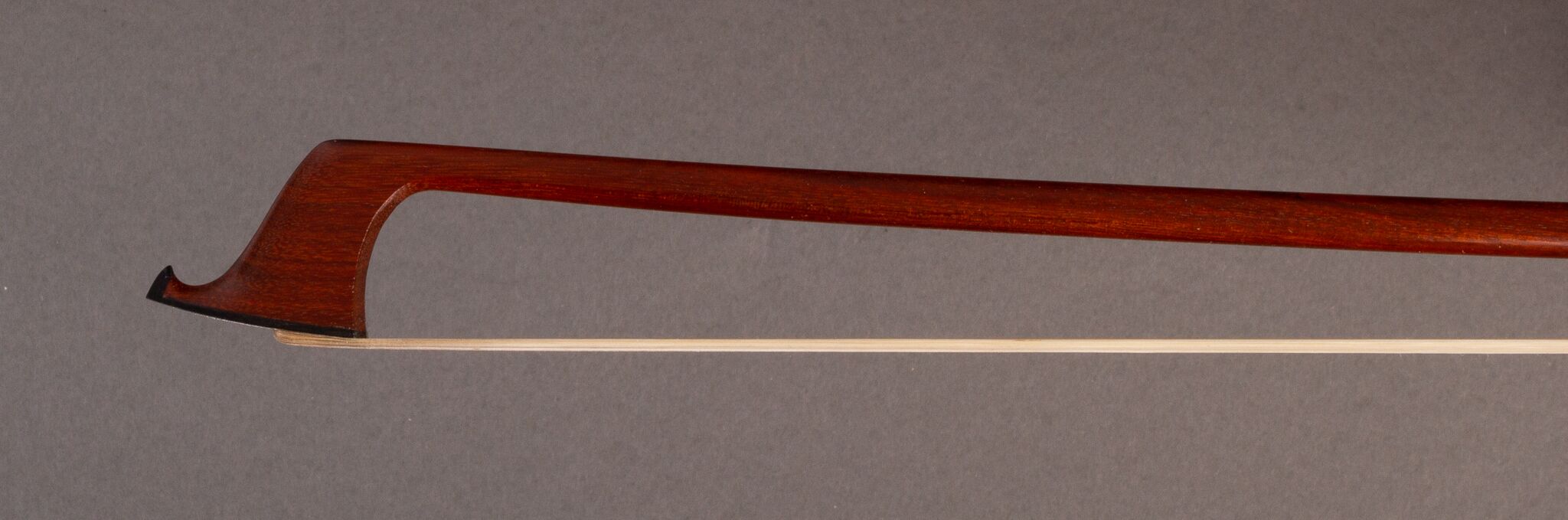 Z Rodrigue bow 12_24-2