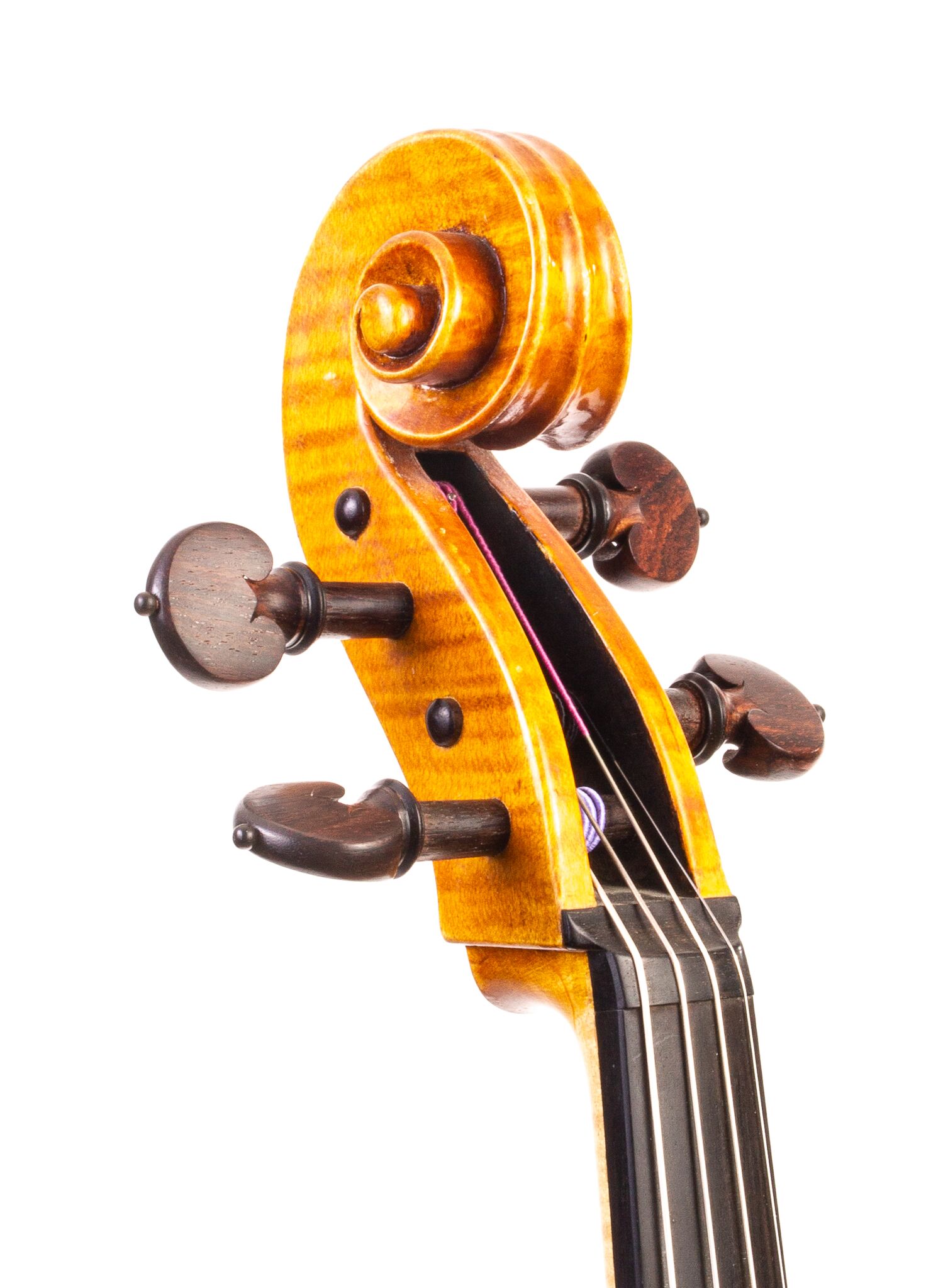 Raymond Palmer 2008 Viola-03