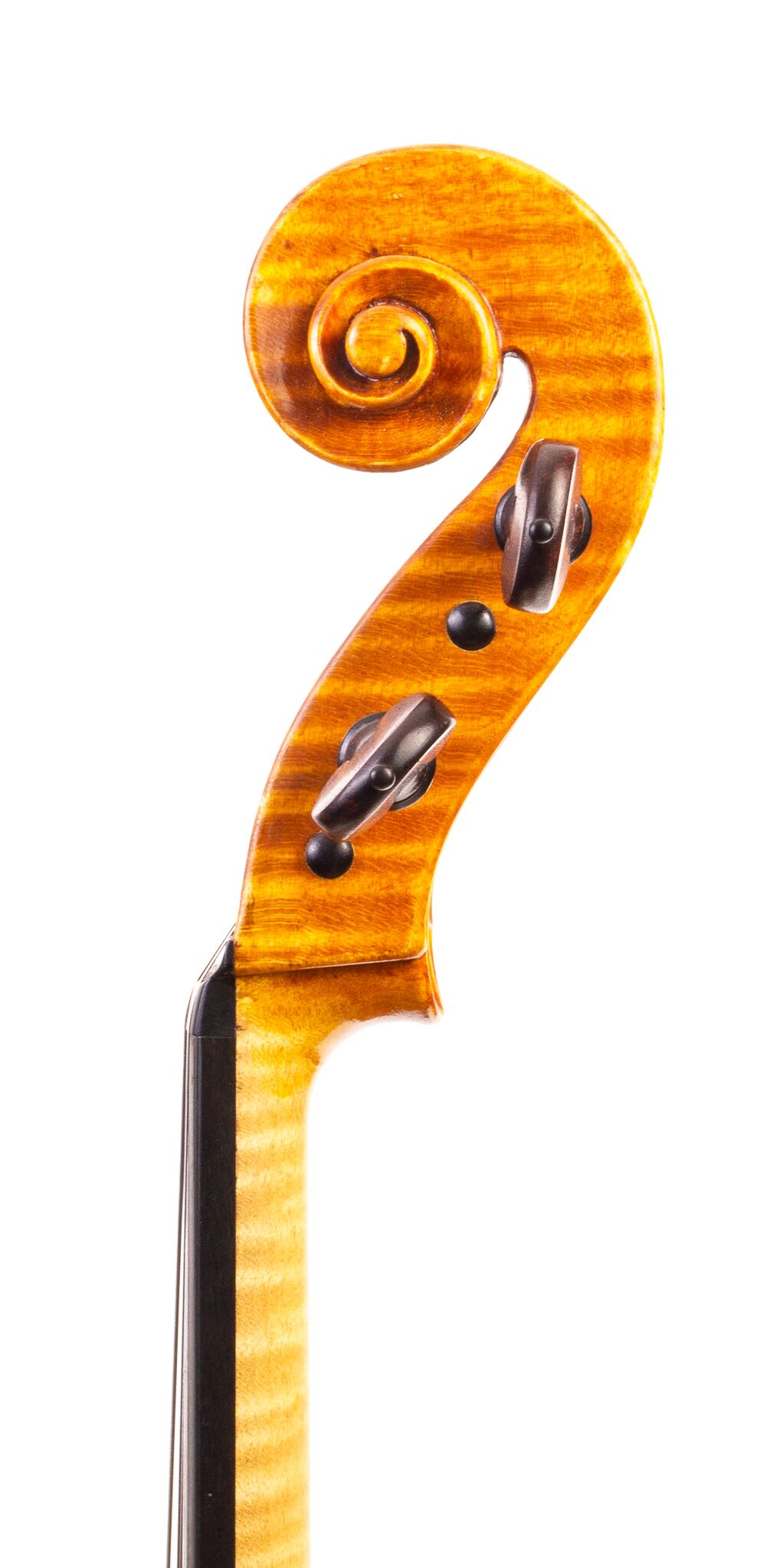 Raymond Palmer 2008 Viola-05