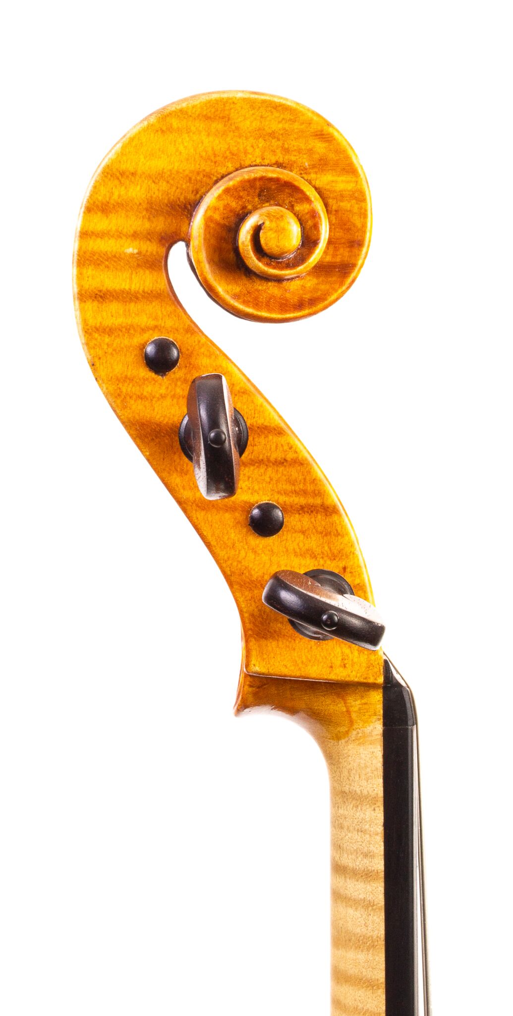 Raymond Palmer 2008 Viola-07