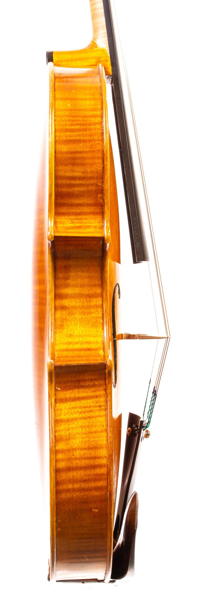 Raymond Palmer 2008 Viola-10