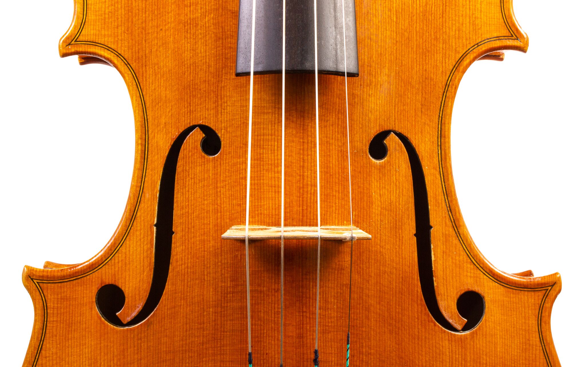Raymond Palmer 2008 Viola-14