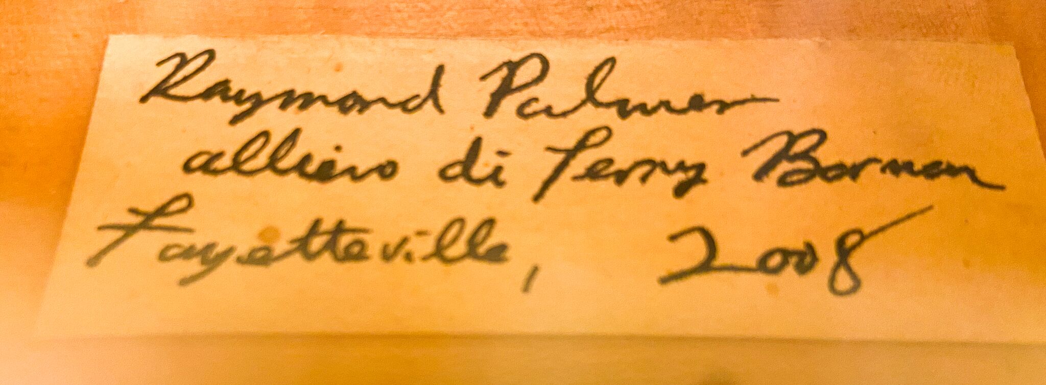 Raymond Palmer 2008 Viola-19