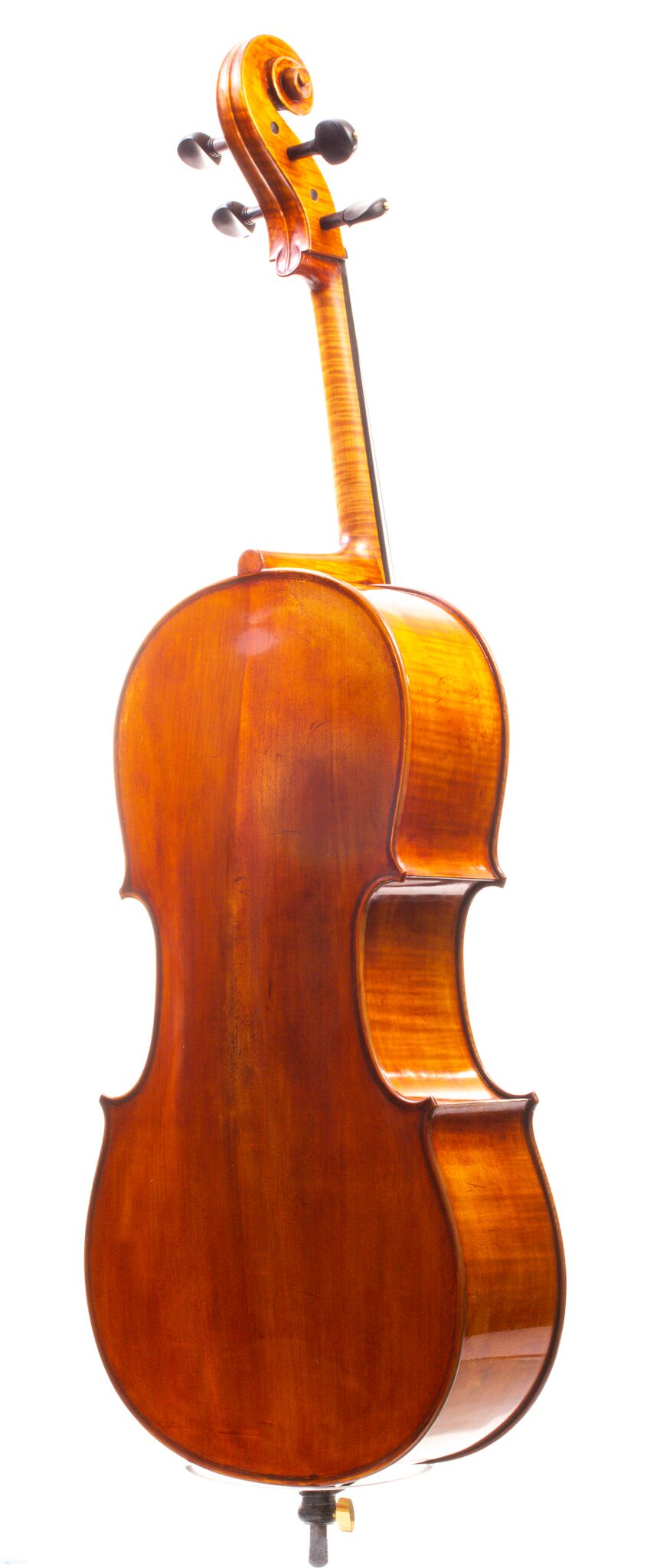 Eastman Cello 830 7_8 Size - Poplar Back-01