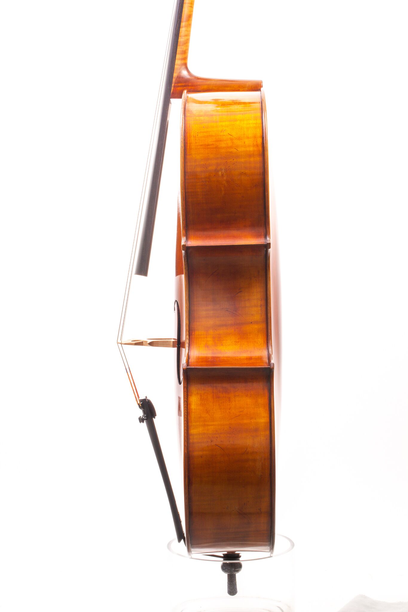 Eastman Cello 830 7_8 Size - Poplar Back-02