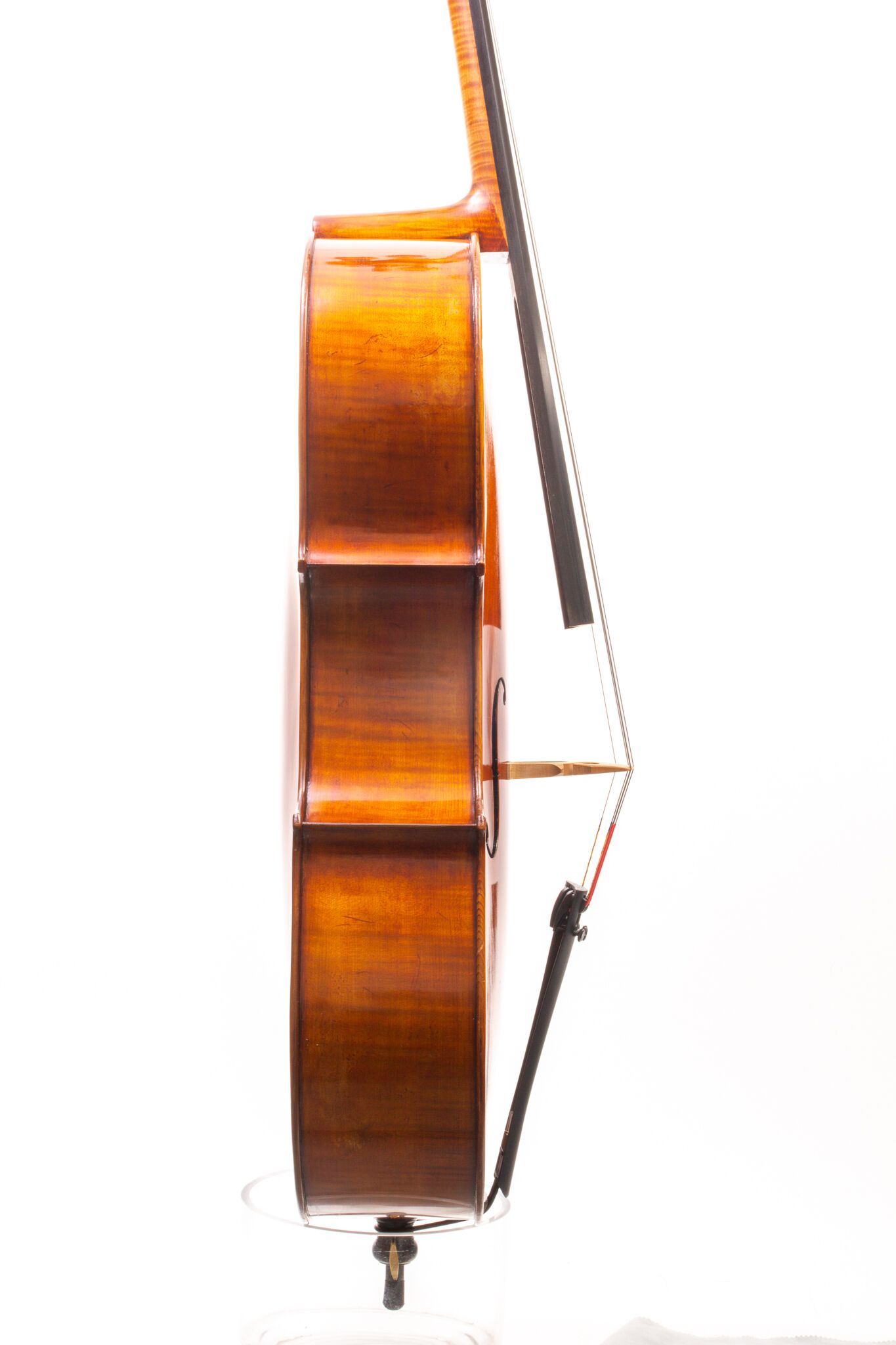 Eastman Cello 830 7_8 Size - Poplar Back-03