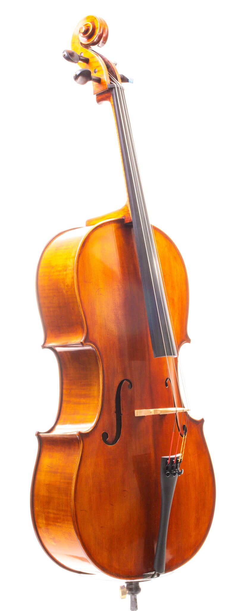 Eastman Cello 830 7_8 Size - Poplar Back-04