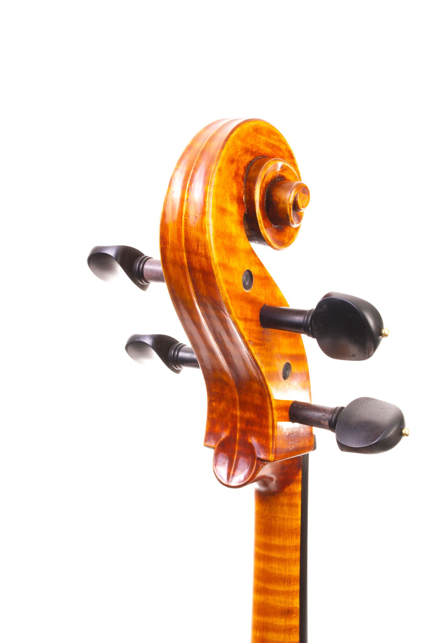 Eastman Cello 830 7_8 Size - Poplar Back-05