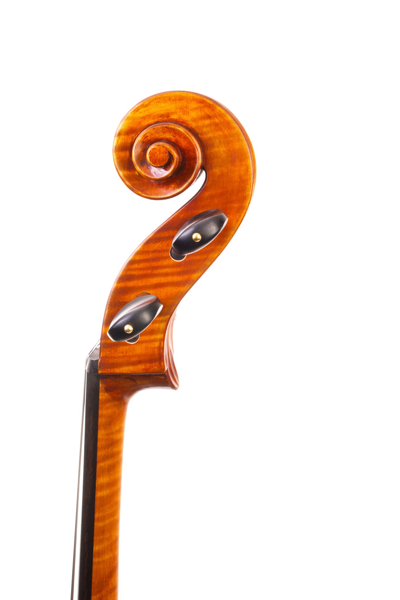 Eastman Cello 830 7_8 Size - Poplar Back-06