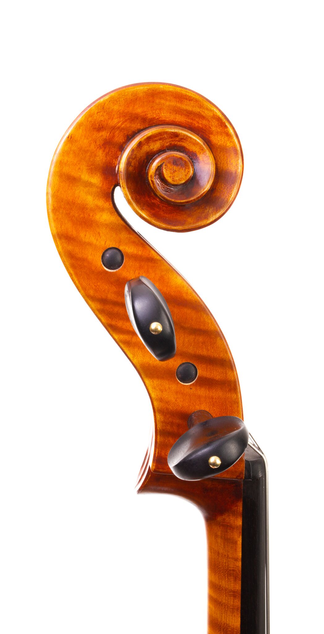 Eastman Cello 830 7_8 Size - Poplar Back-09