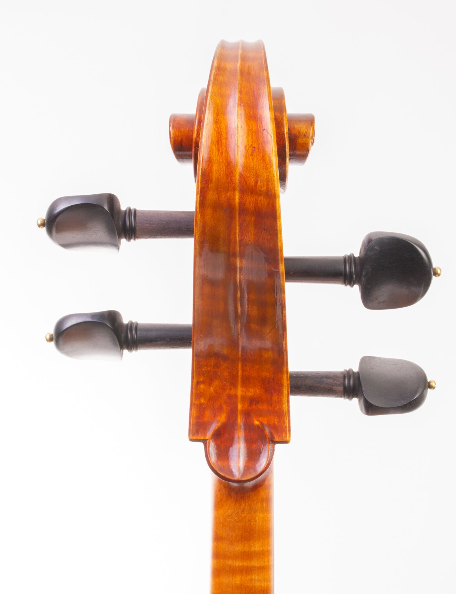 Eastman Cello 830 7_8 Size - Poplar Back-10