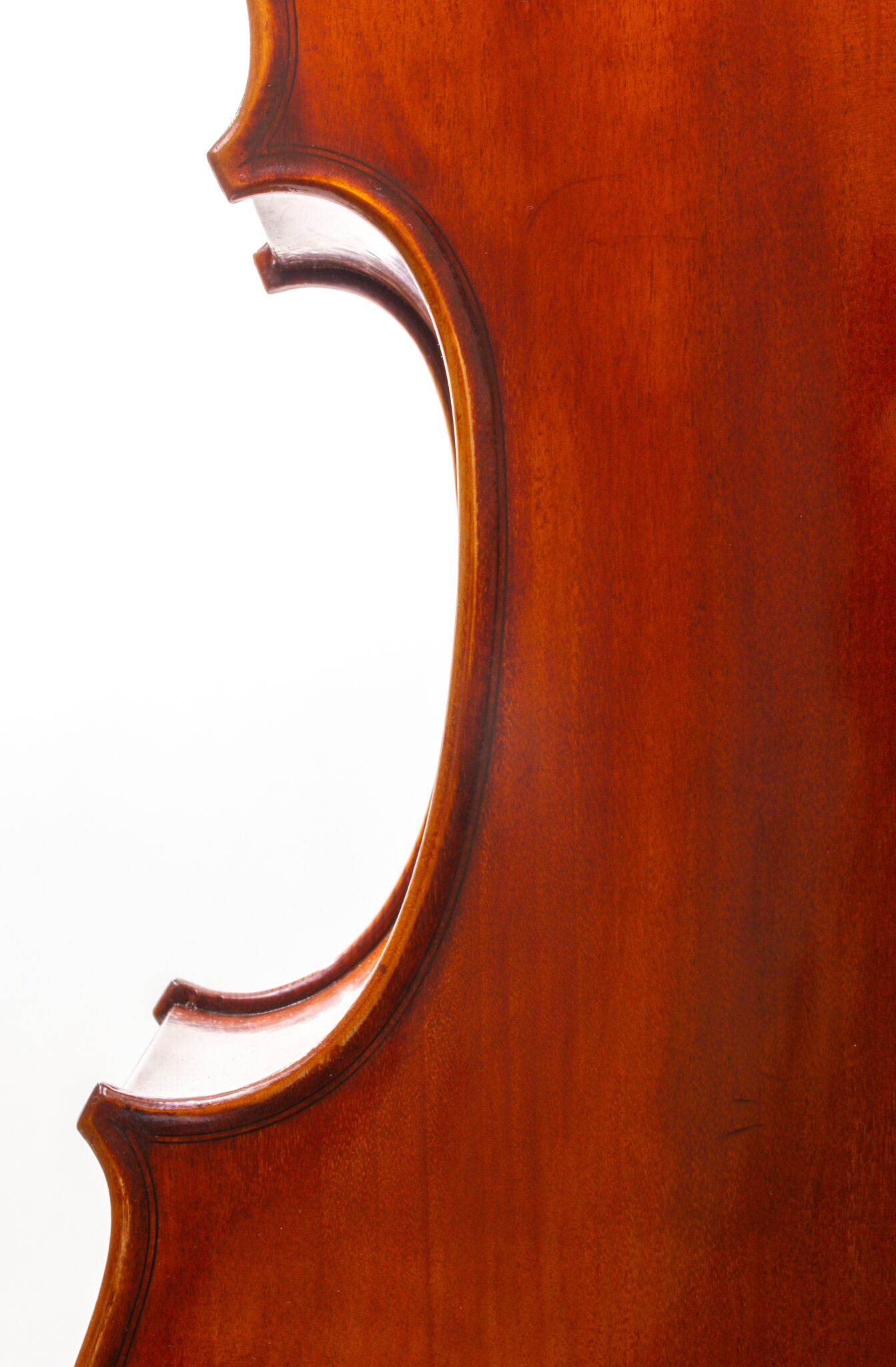 Eastman Cello 830 7_8 Size - Poplar Back-11