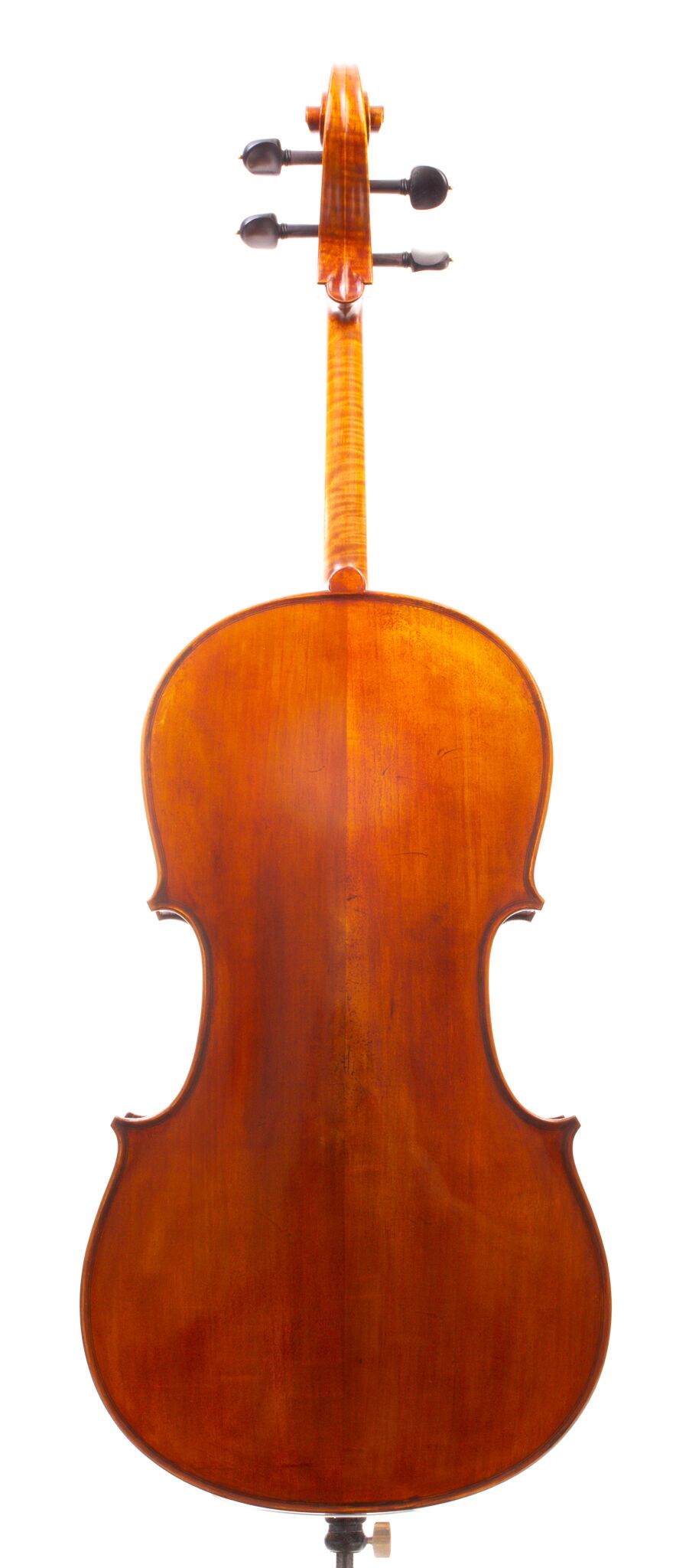 Eastman Cello 830 7_8 Size - Poplar Back-13
