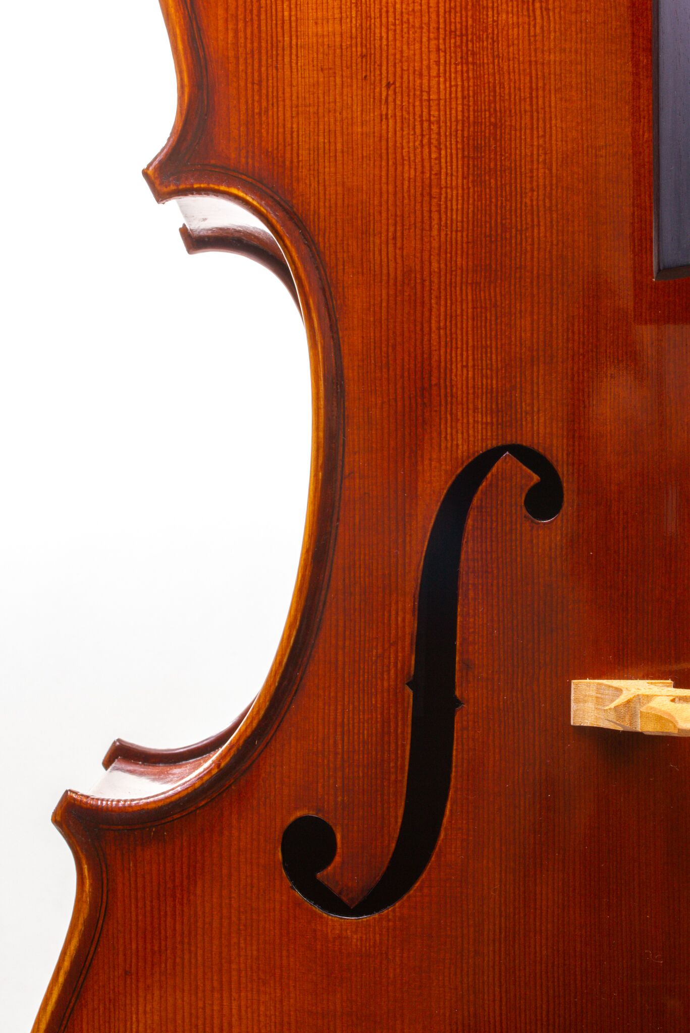 Eastman Cello 830 7_8 Size - Poplar Back-14
