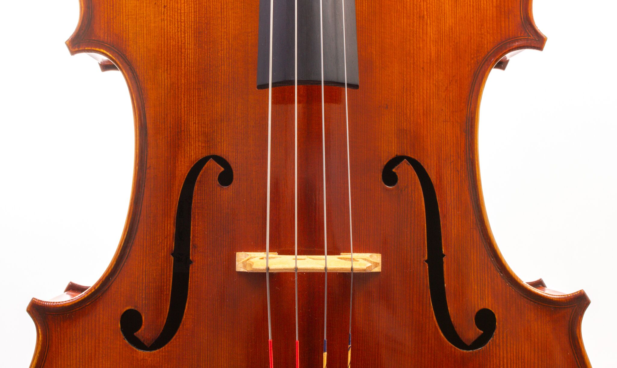Eastman Cello 830 7_8 Size - Poplar Back-15