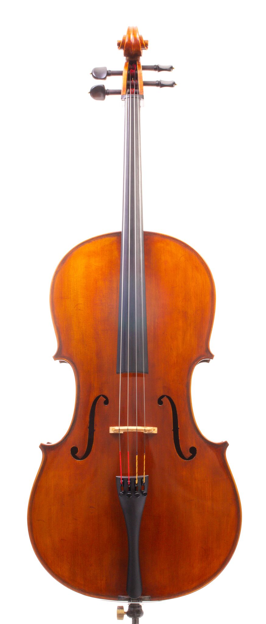 Eastman Cello 830 7_8 Size - Poplar Back-16