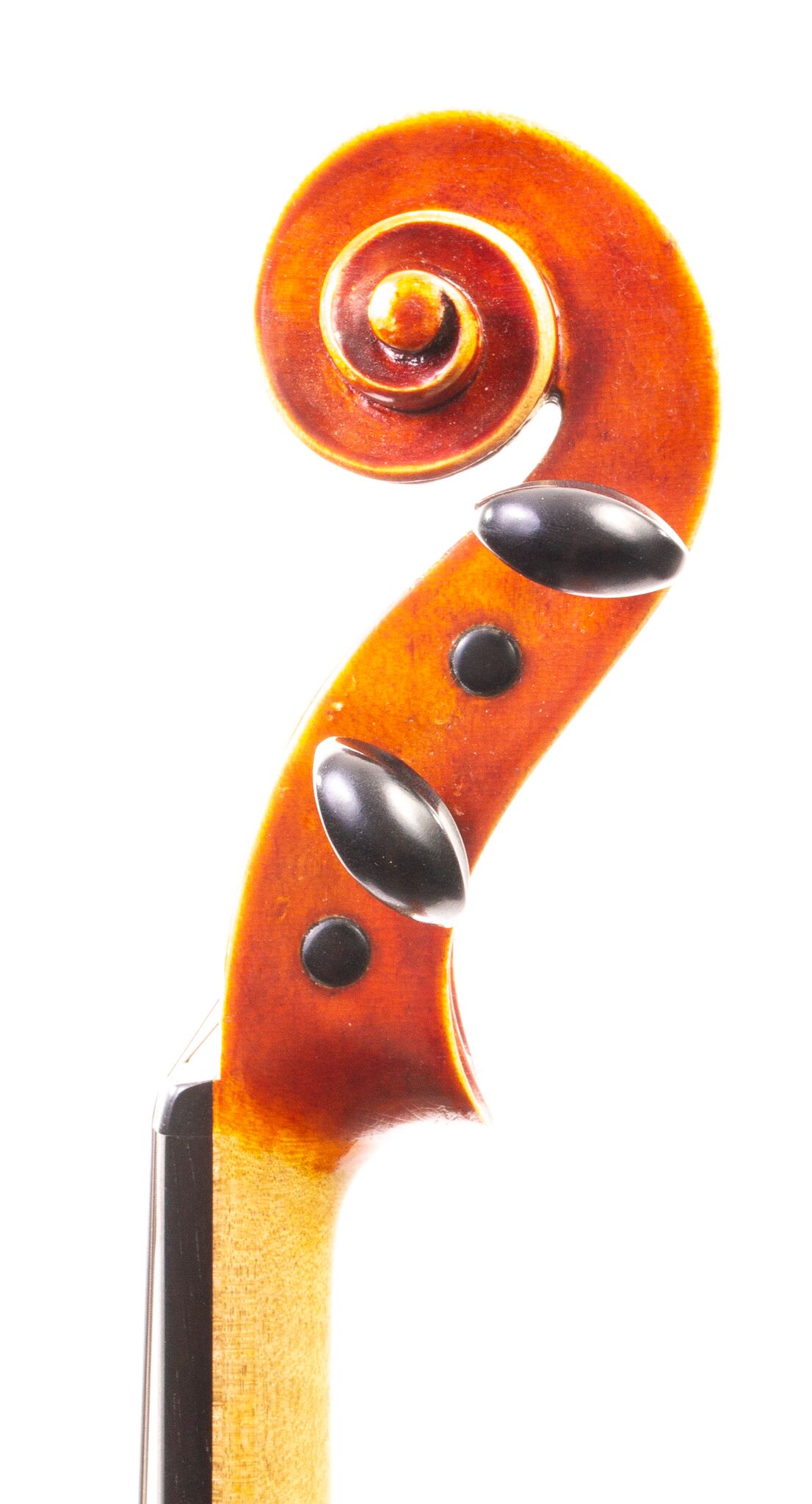 Natale Carletti Violin 1954-01