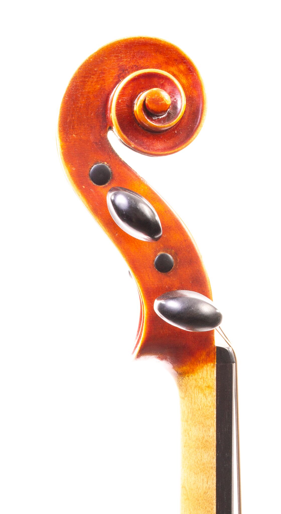 Natale Carletti Violin 1954-04