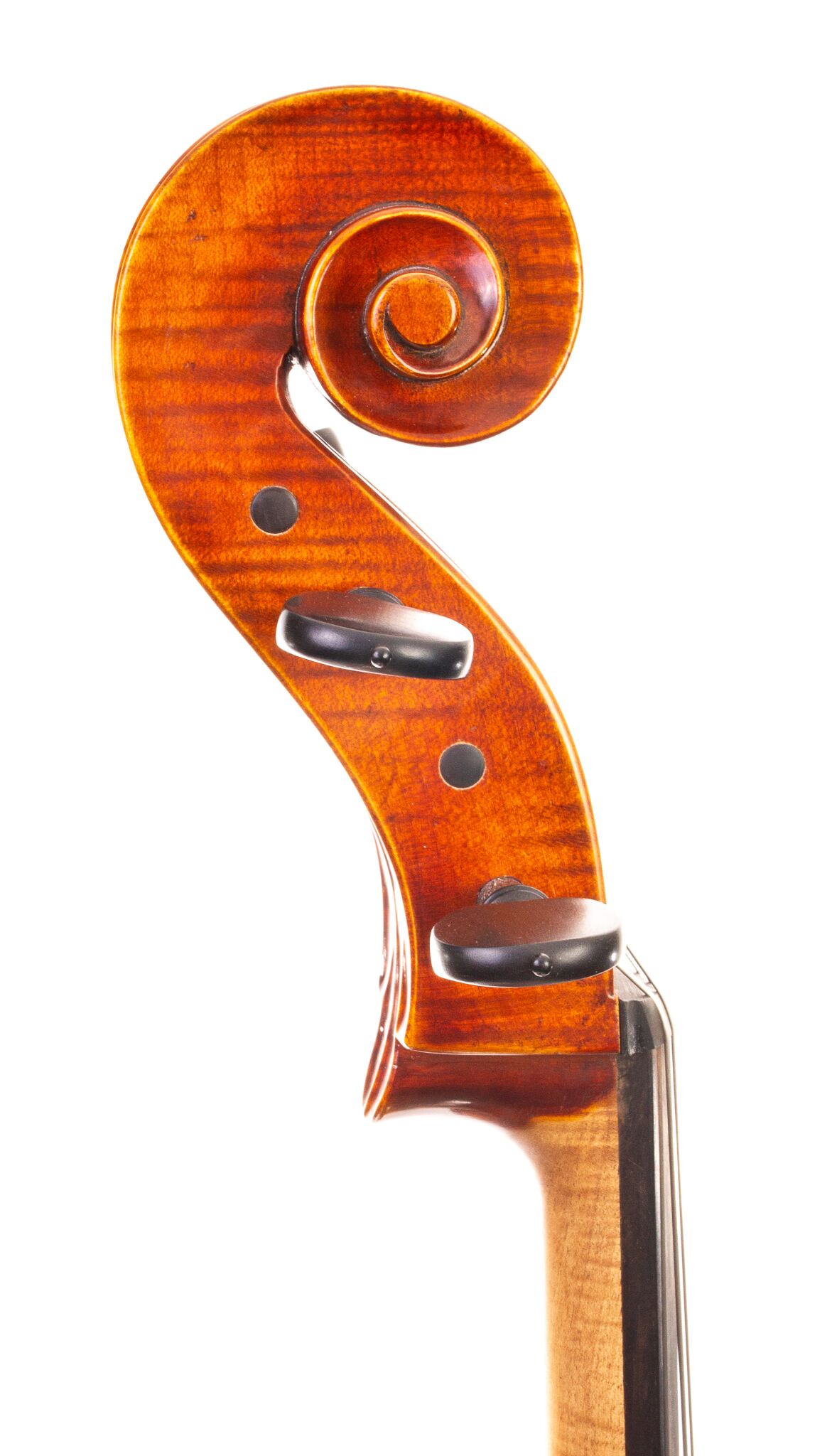 Heinrich Gill Cello 2009-03