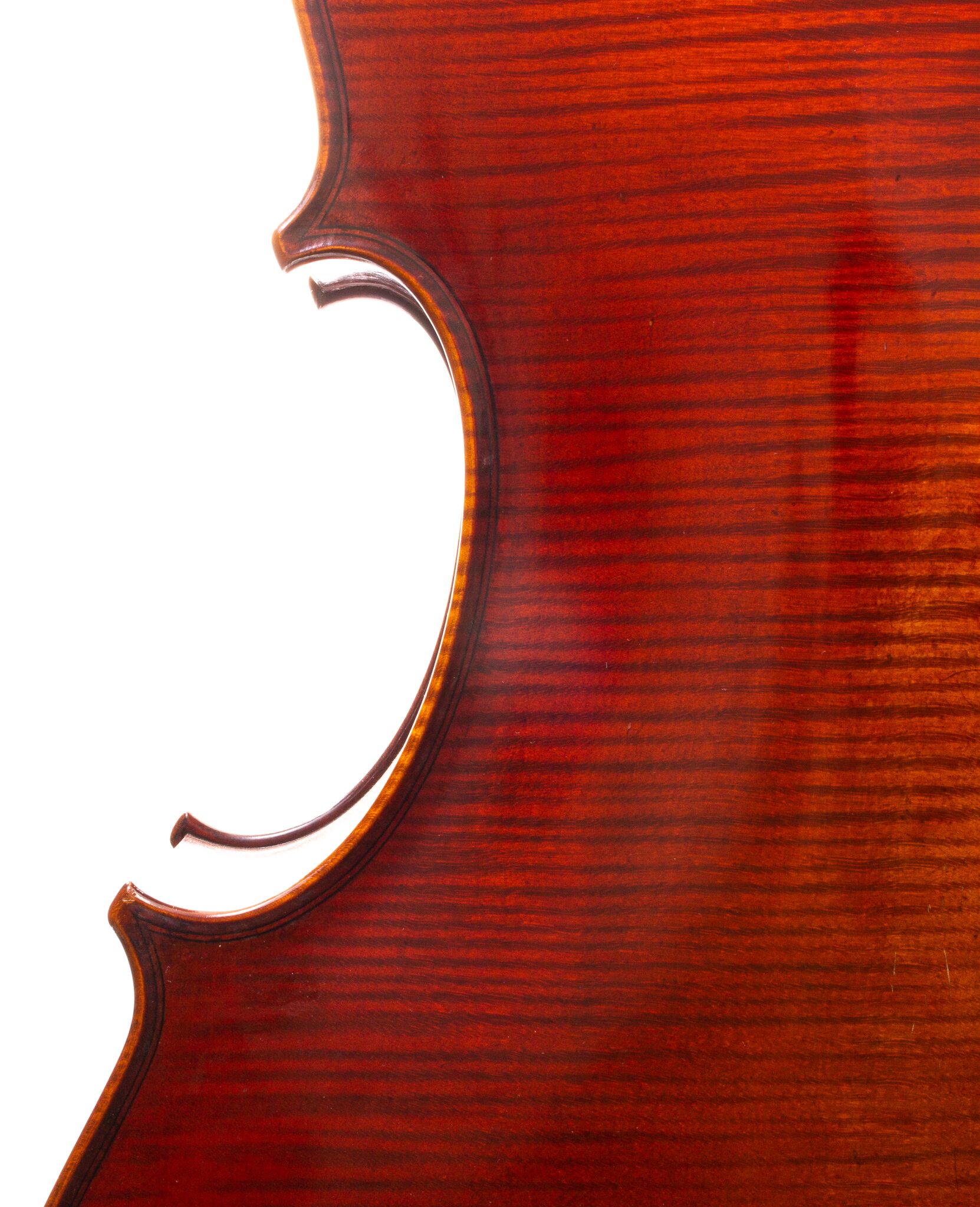 Heinrich Gill Cello 2009-10